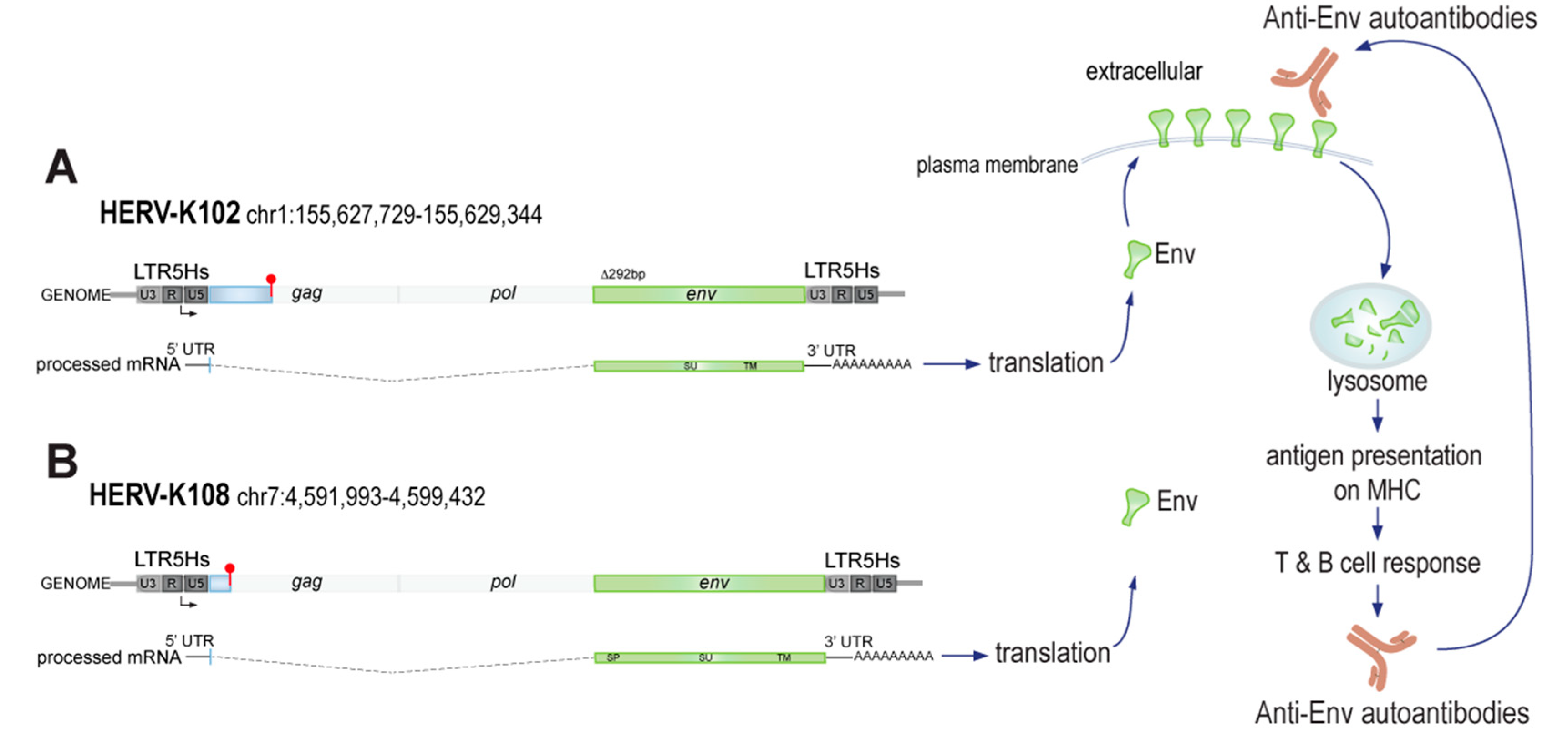Microorganisms 11 01310 g004