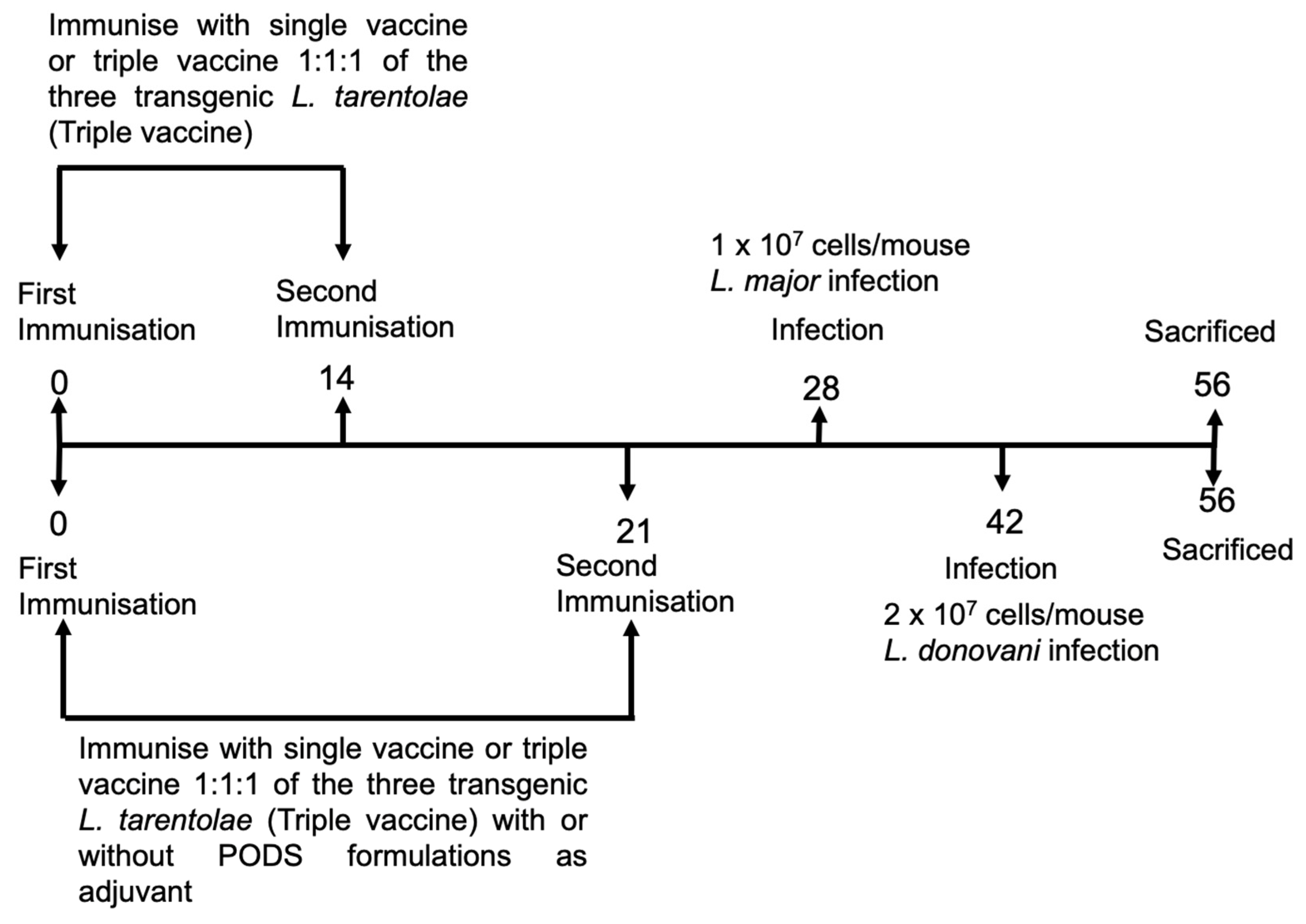 Microorganisms 11 01322 g001