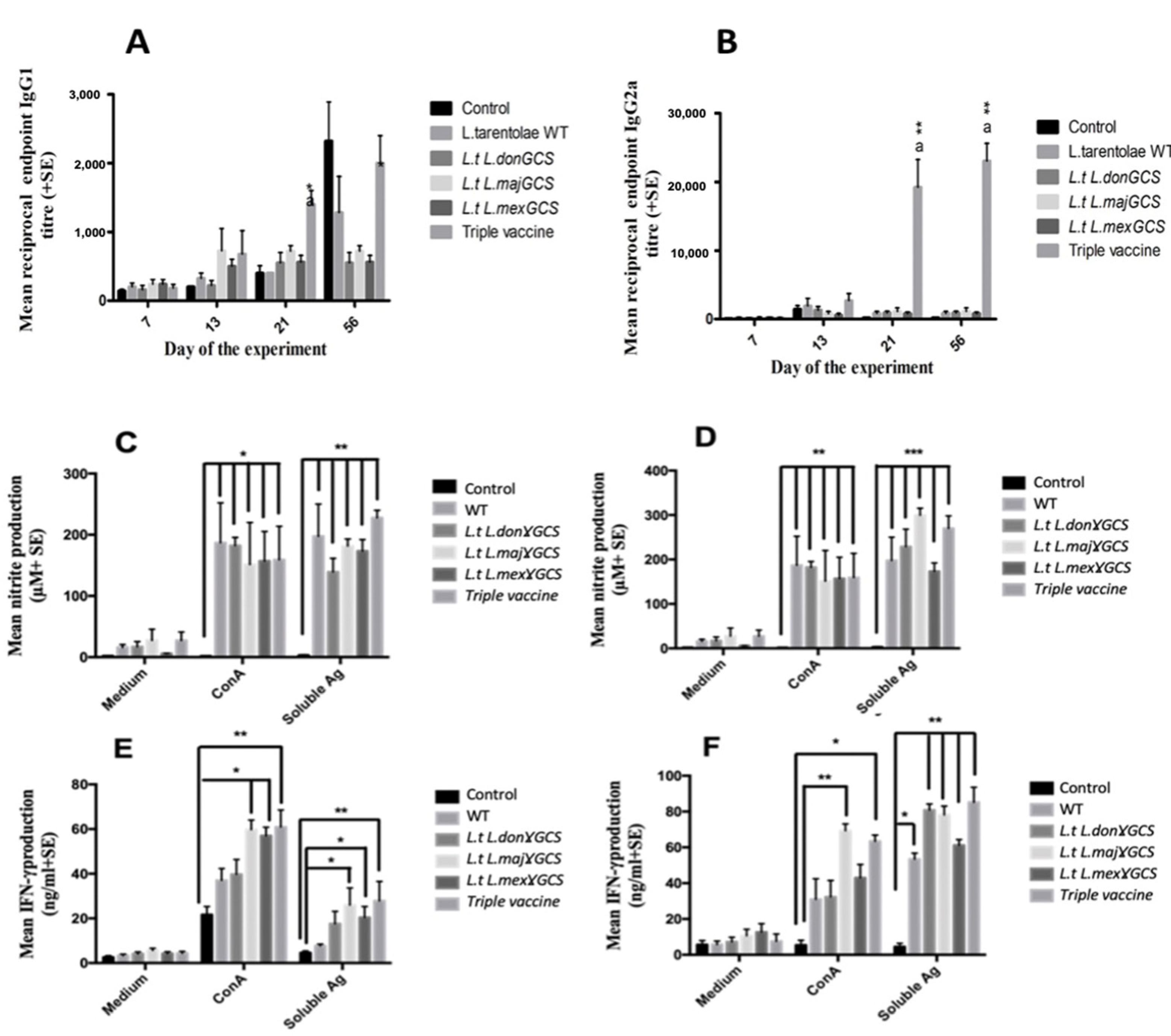 Microorganisms 11 01322 g006
