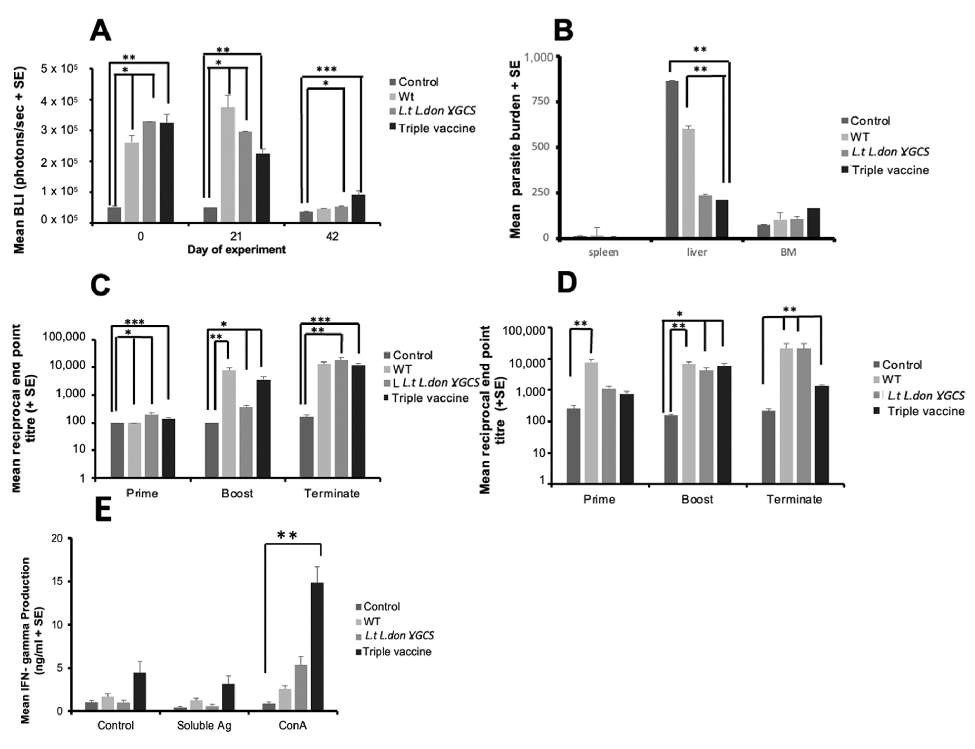 Microorganisms 11 01322 g007