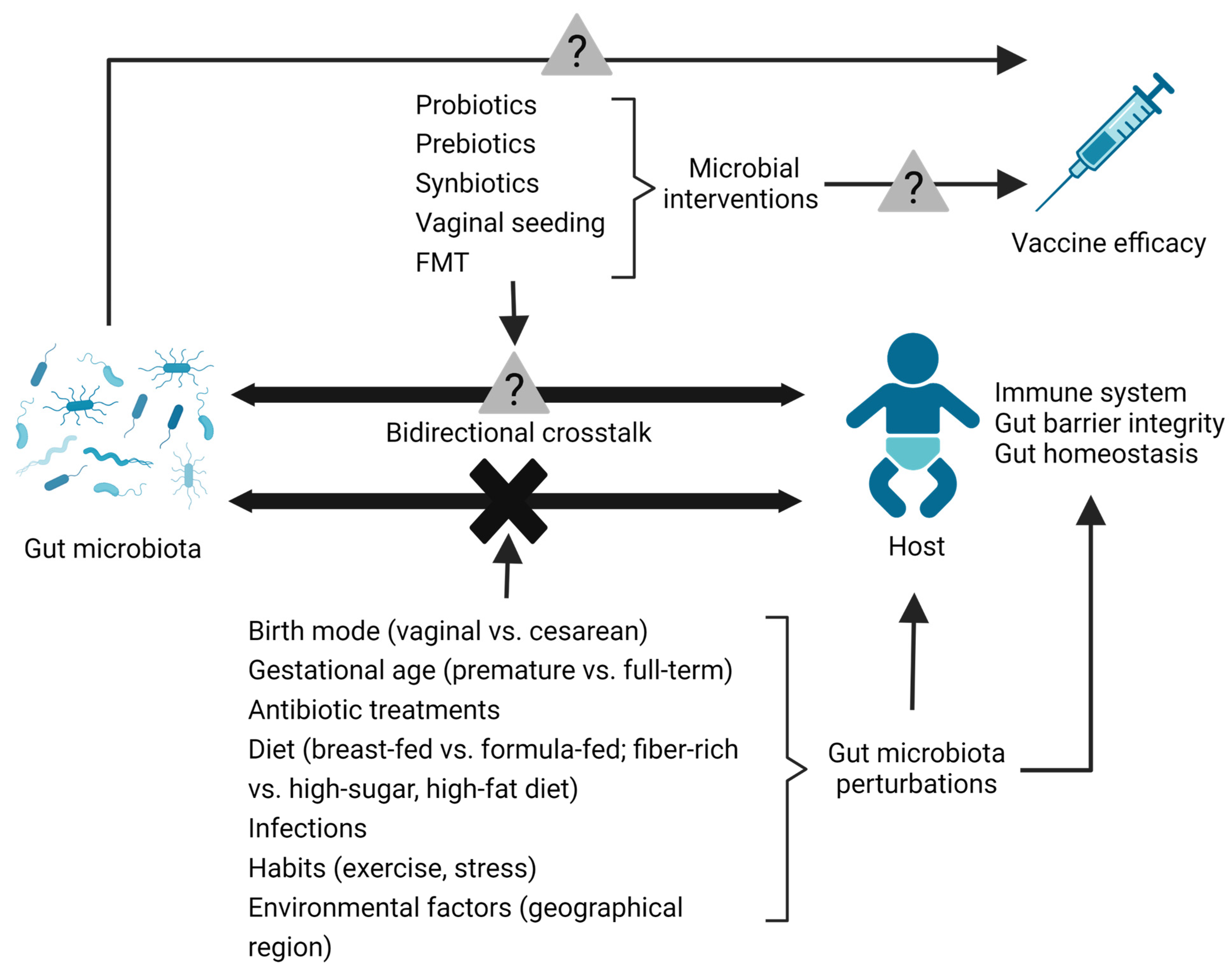 Microorganisms 11 01328 g001