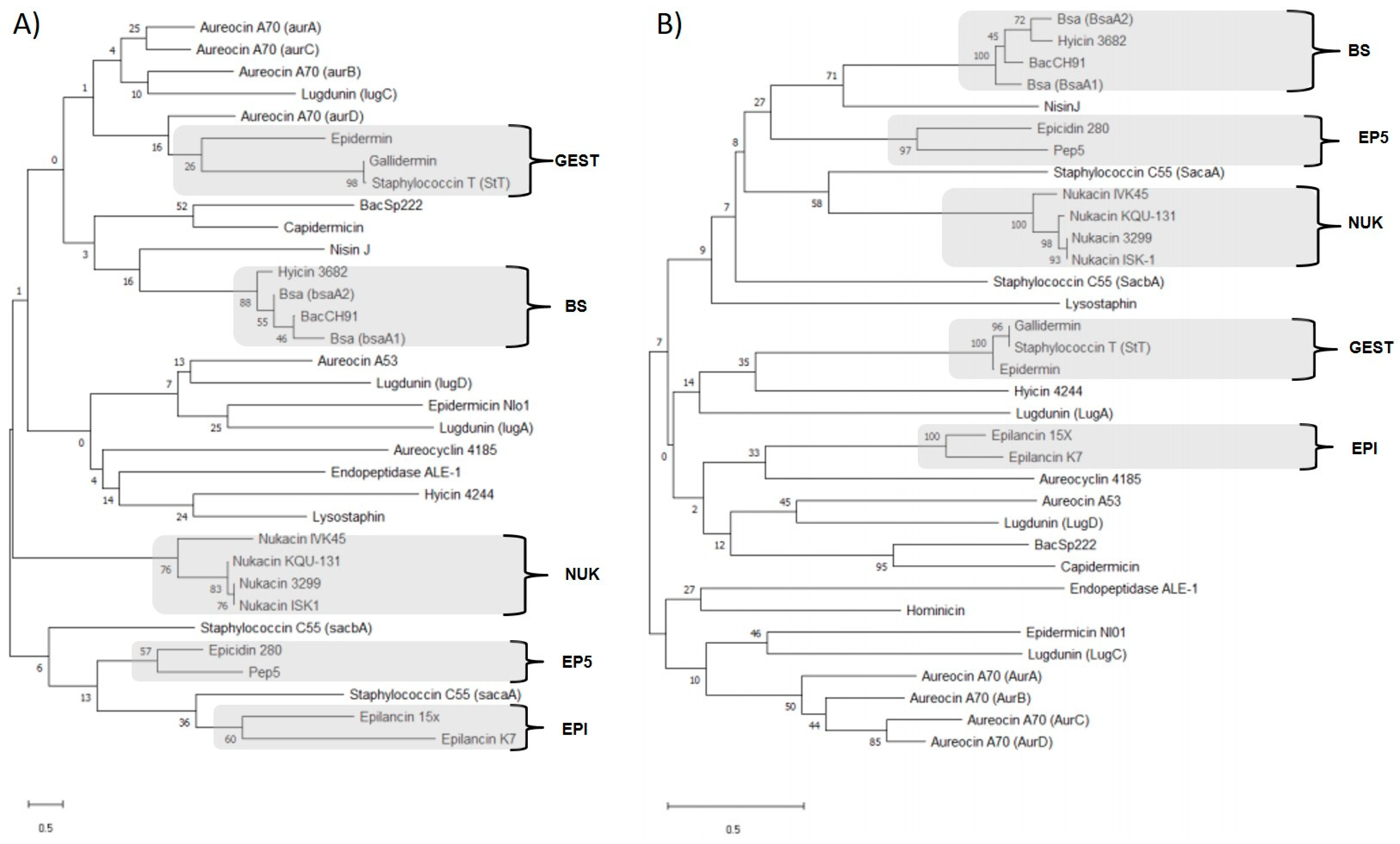 Microorganisms 11 01329 g001 Microorganisms 11 01329 g001