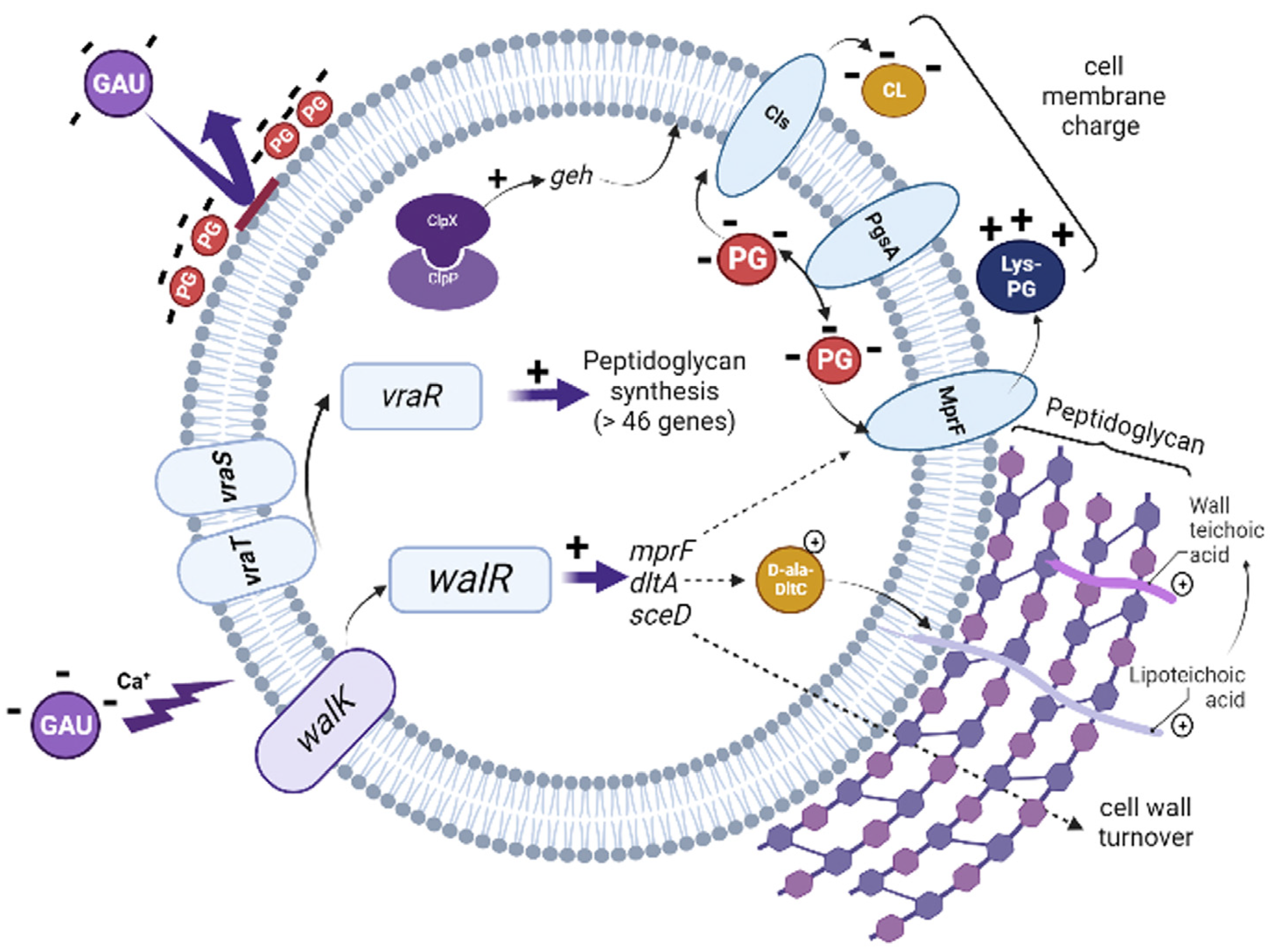 Microorganisms 11 01330 g002