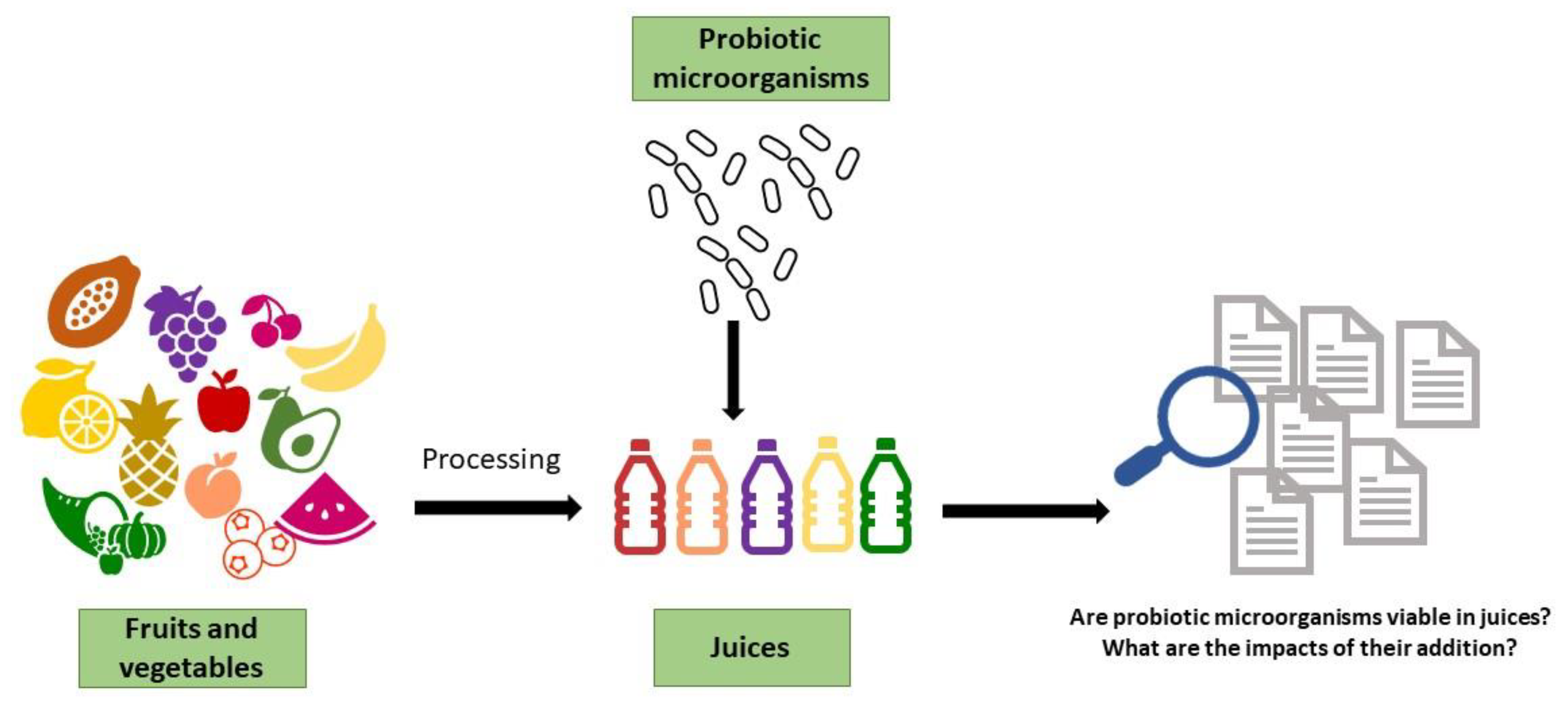 Microorganisms 11 01335 g001