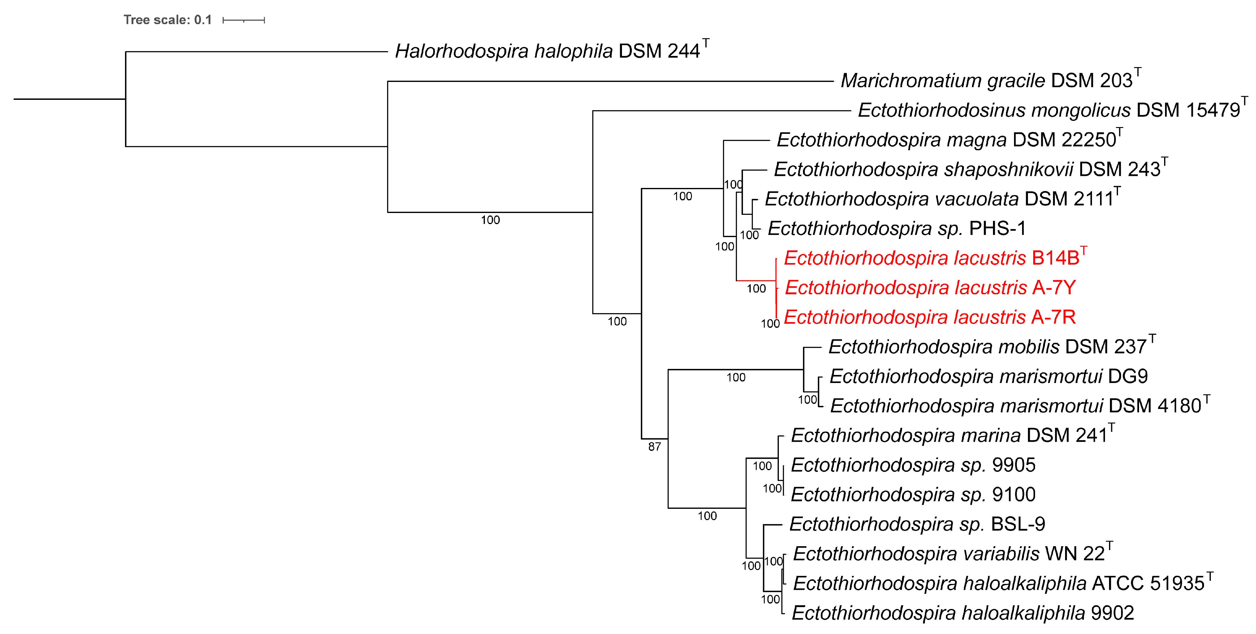Microorganisms 11 01336 g005