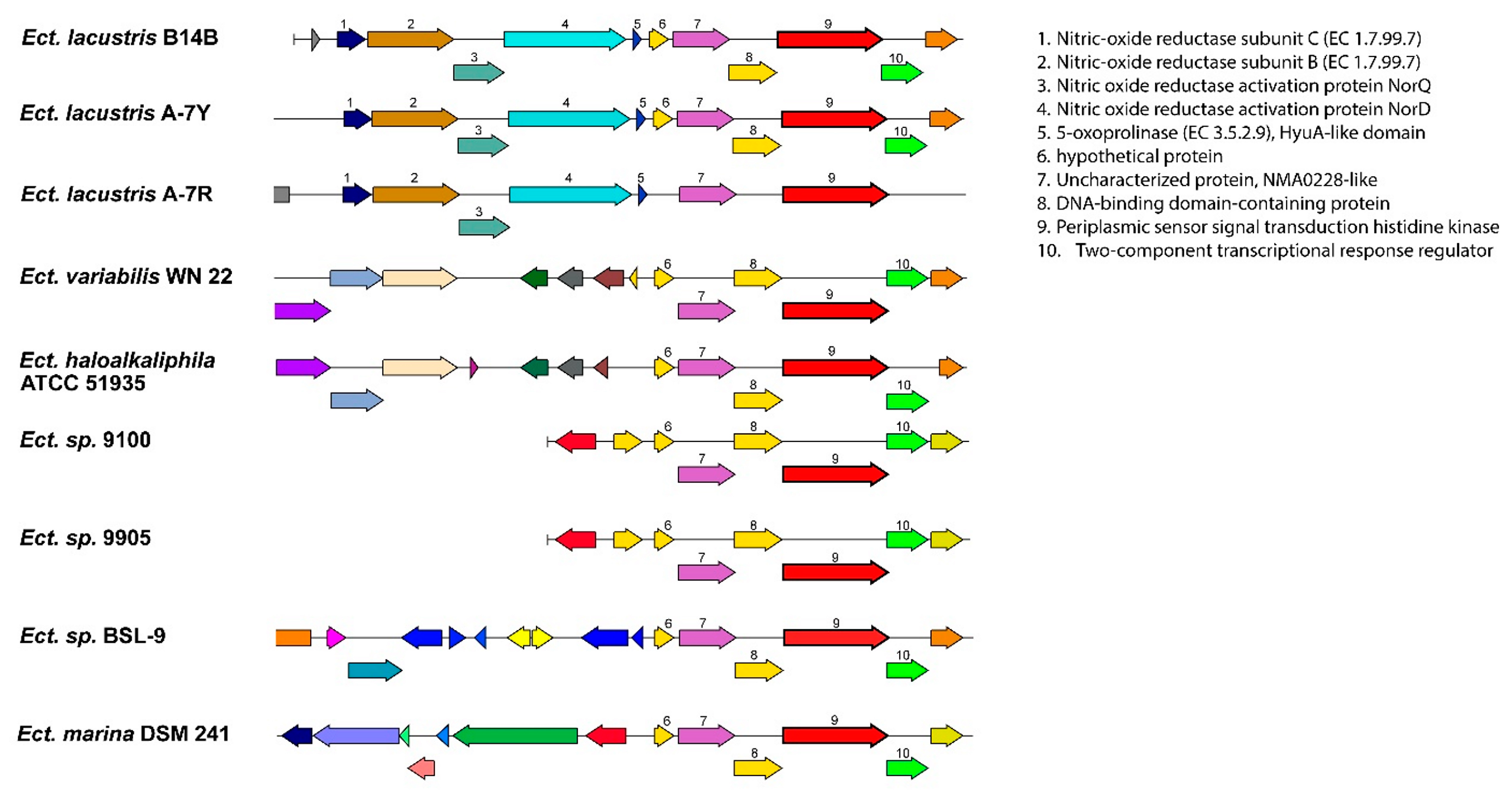 Microorganisms 11 01336 g006