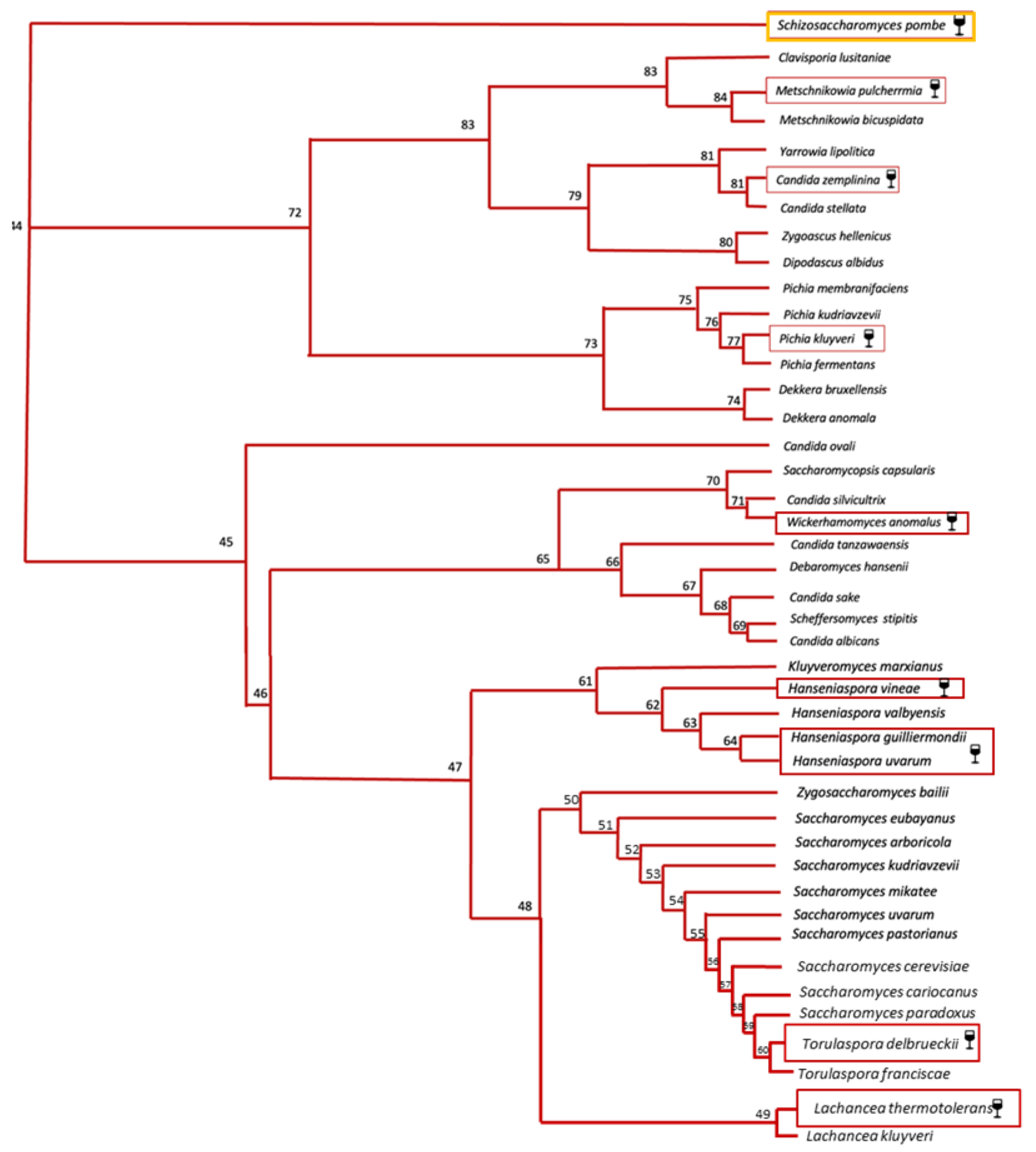 Microorganisms 11 01338 g004