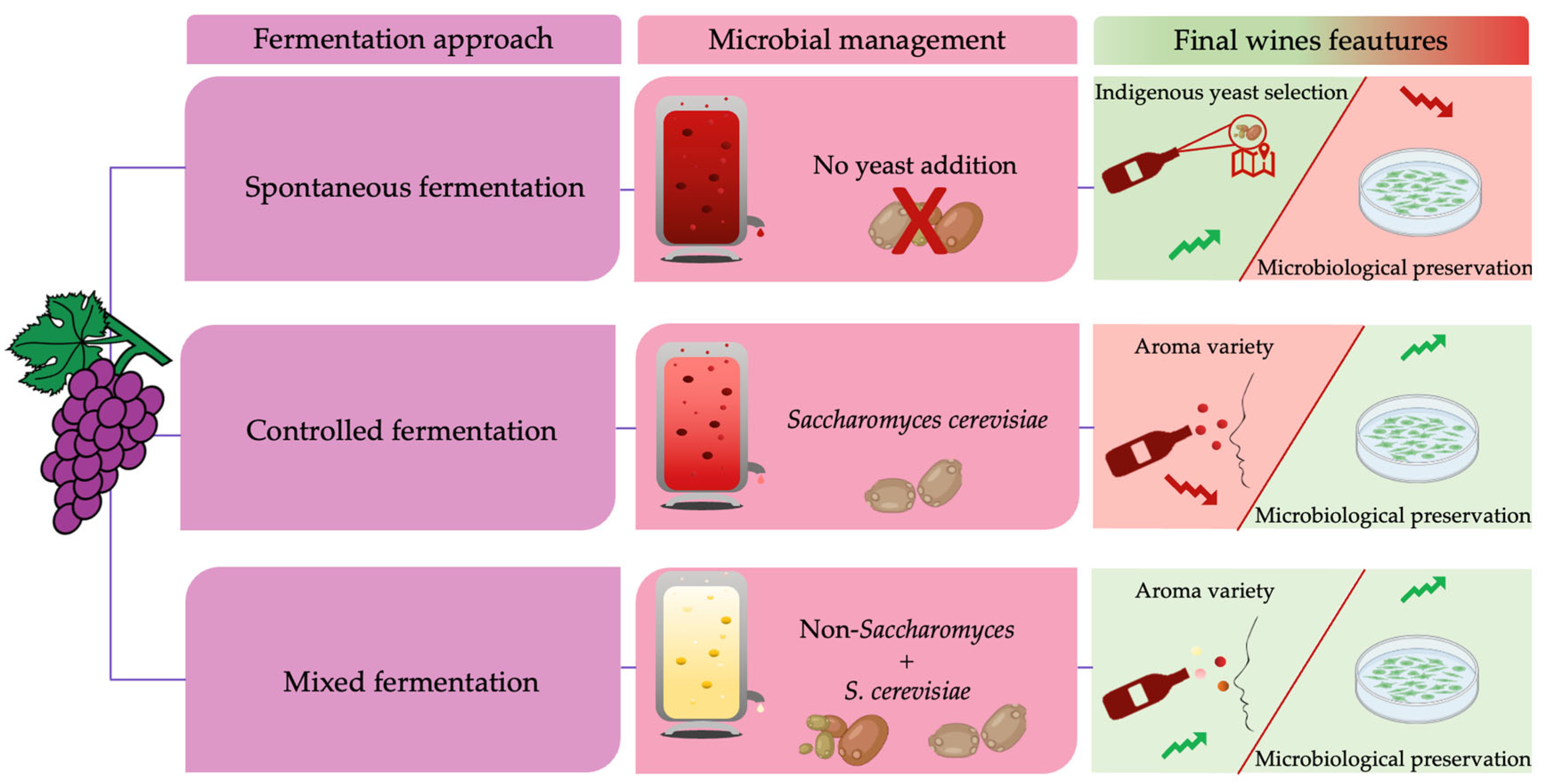 Microorganisms 11 01338 g006
