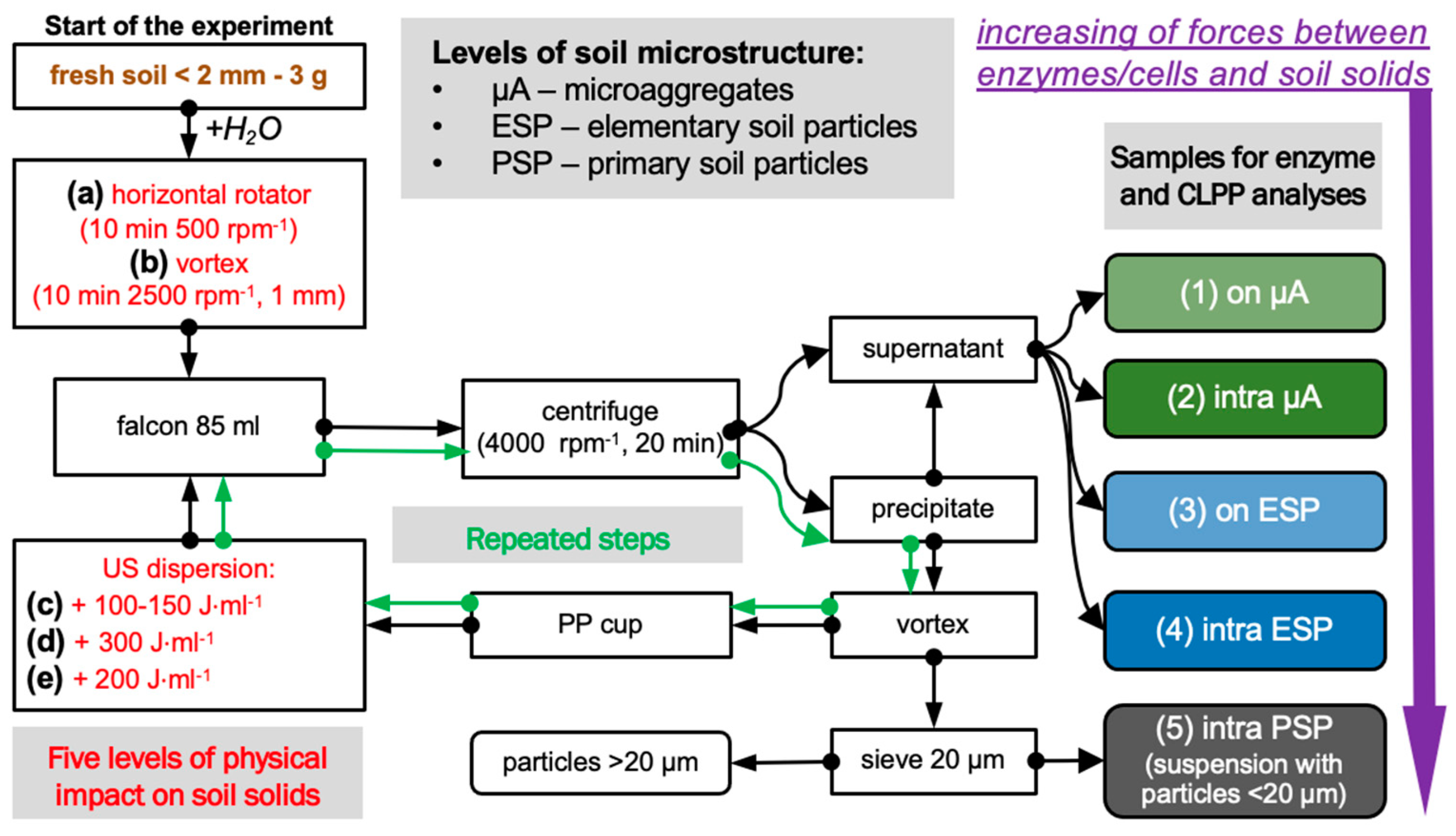 Microorganisms 11 01343 g001