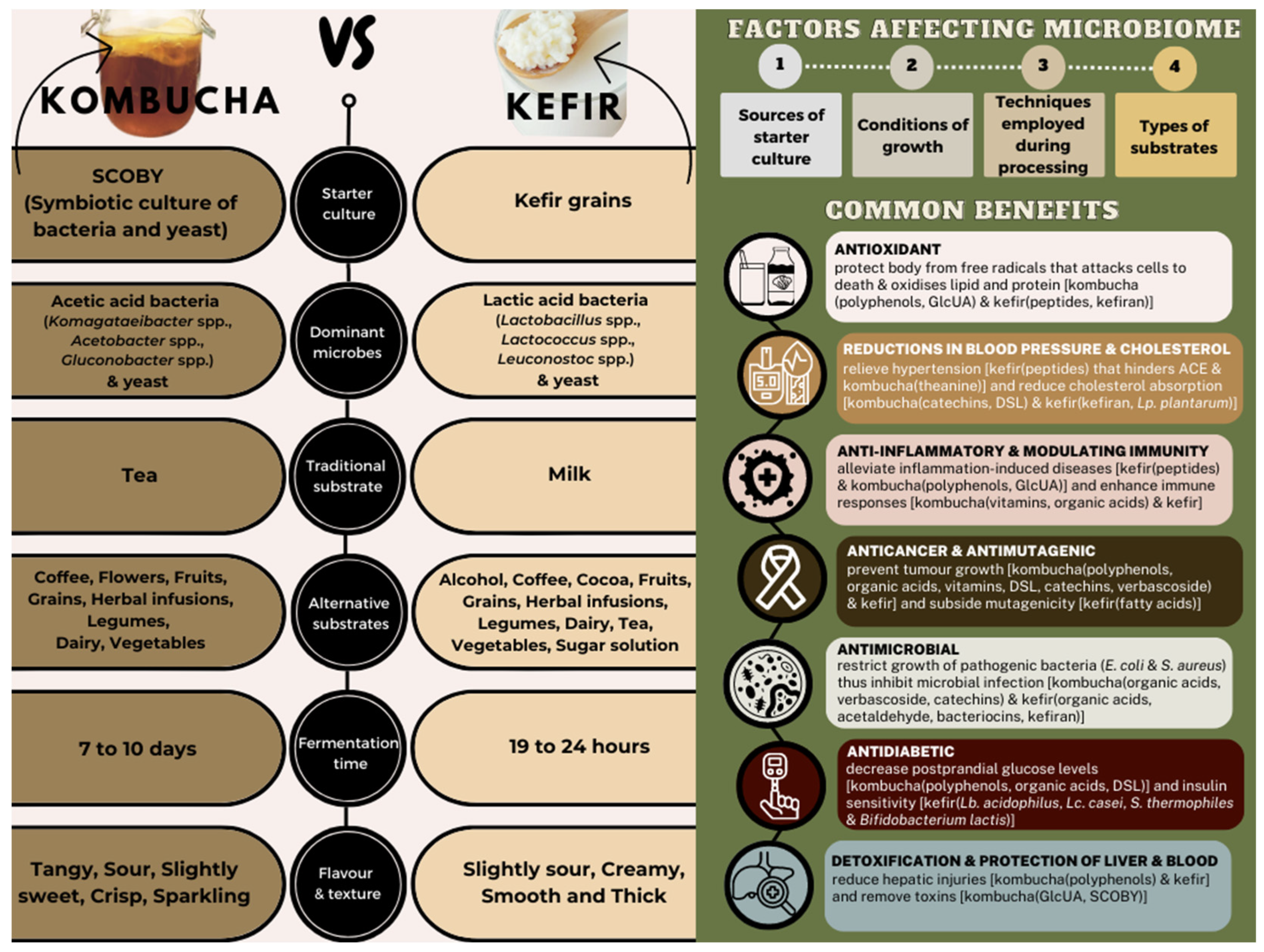 Microorganisms 11 01344 g001