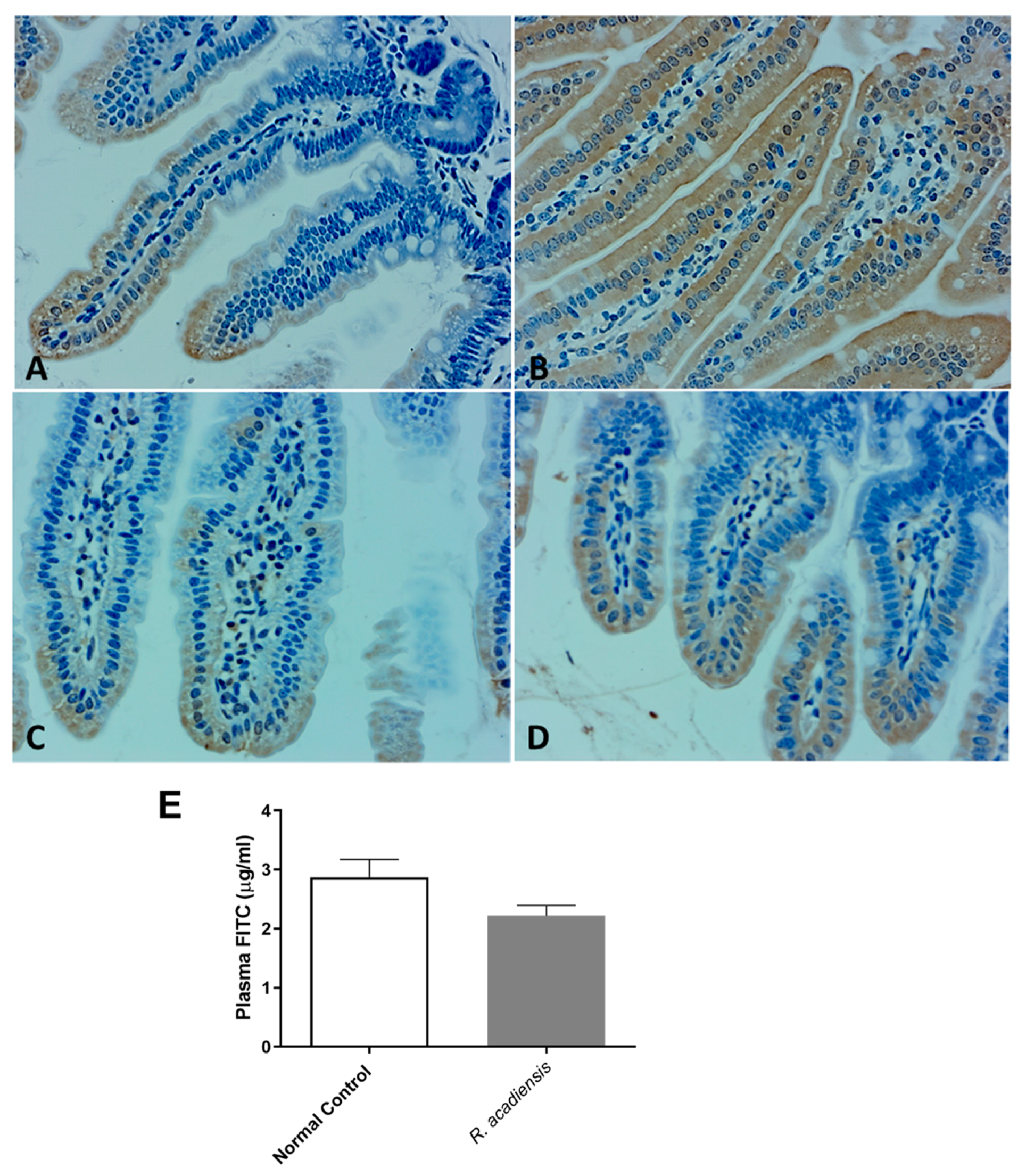 Microorganisms 11 01347 g004