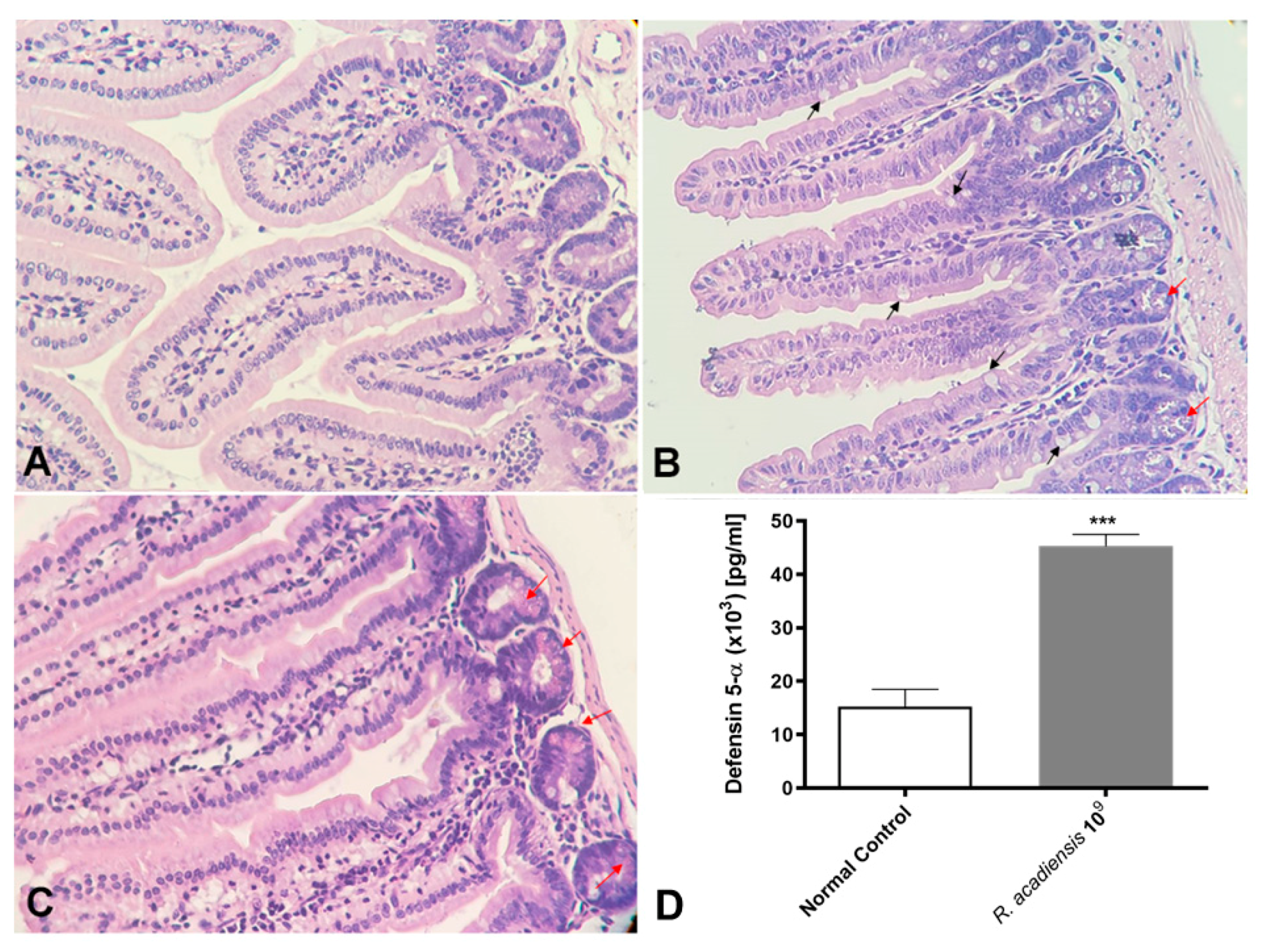 Microorganisms 11 01347 g006