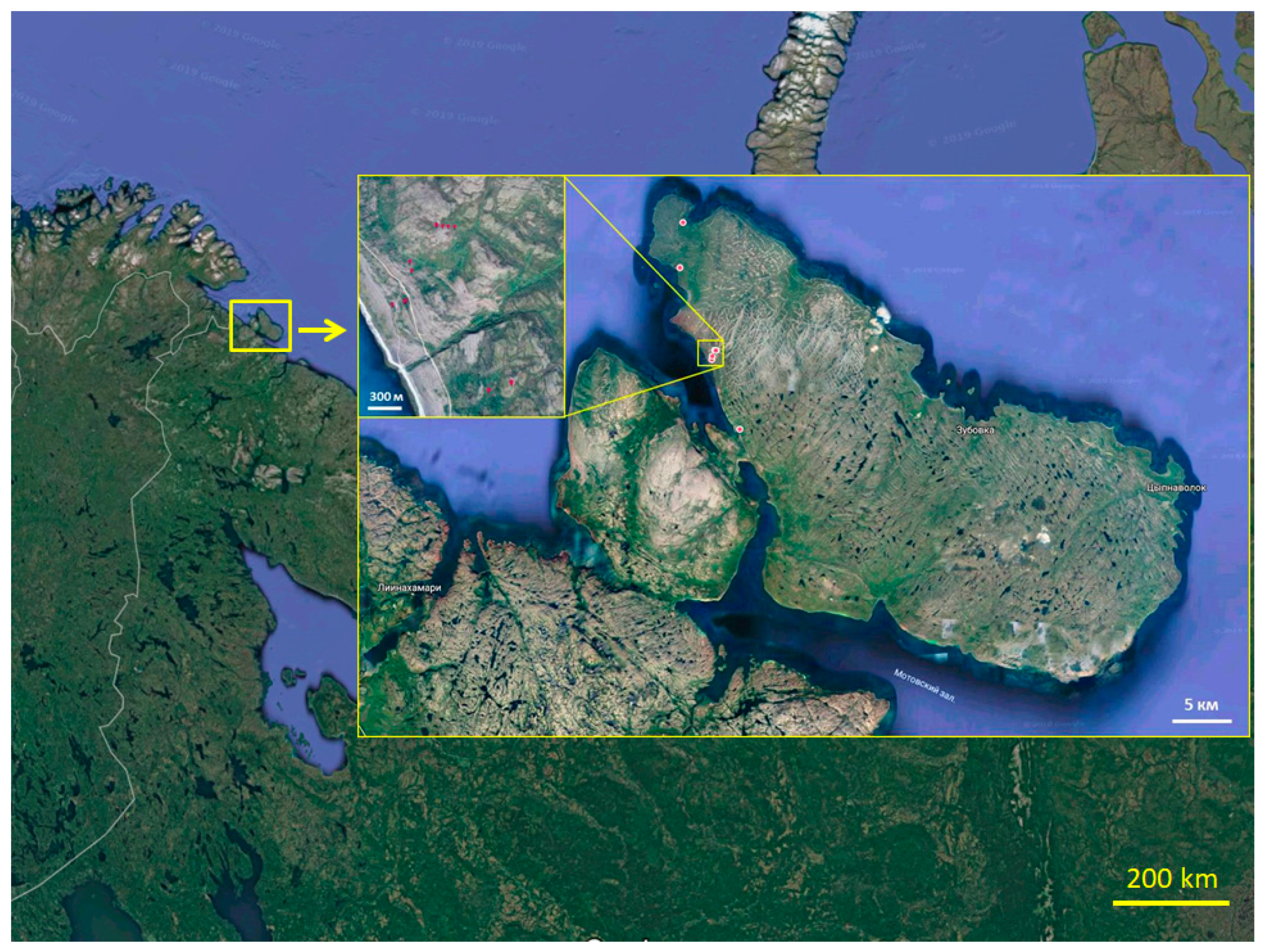 Microorganisms 11 01352 g001
