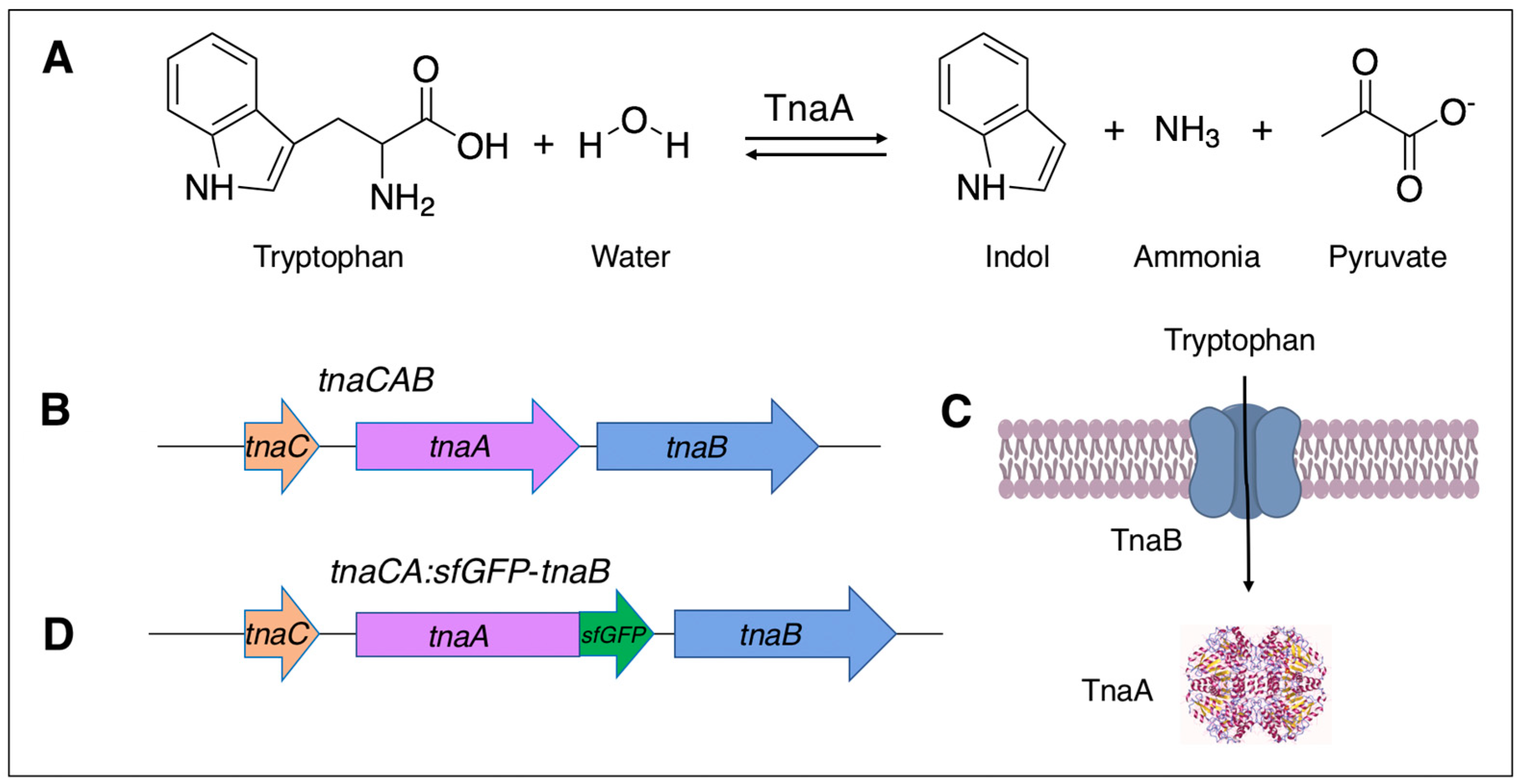 Microorganisms 11 01355 g001 Microorganisms 11 01355 g001
