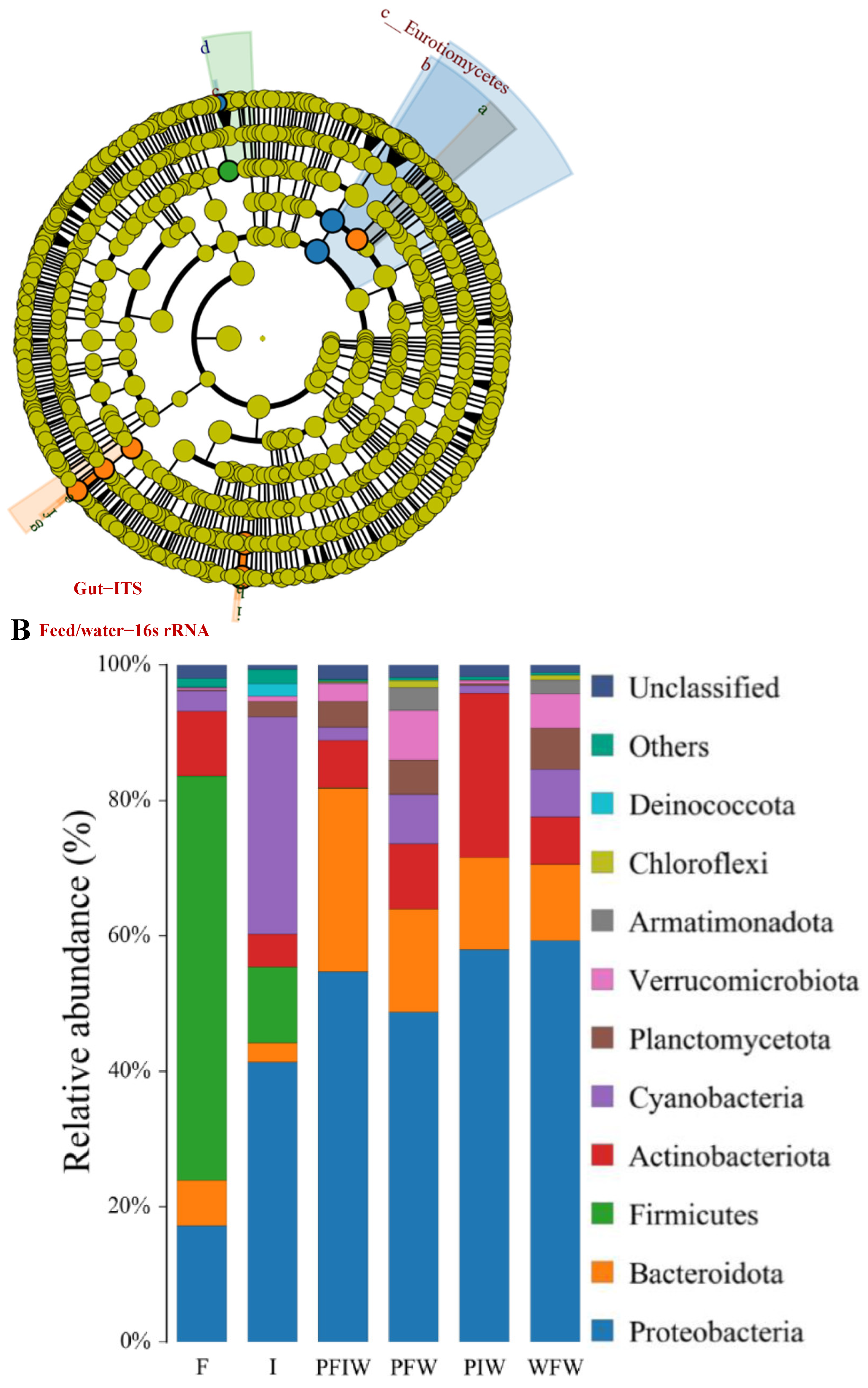 Microorganisms 11 01356 g003b Microorganisms 11 01356 g003b