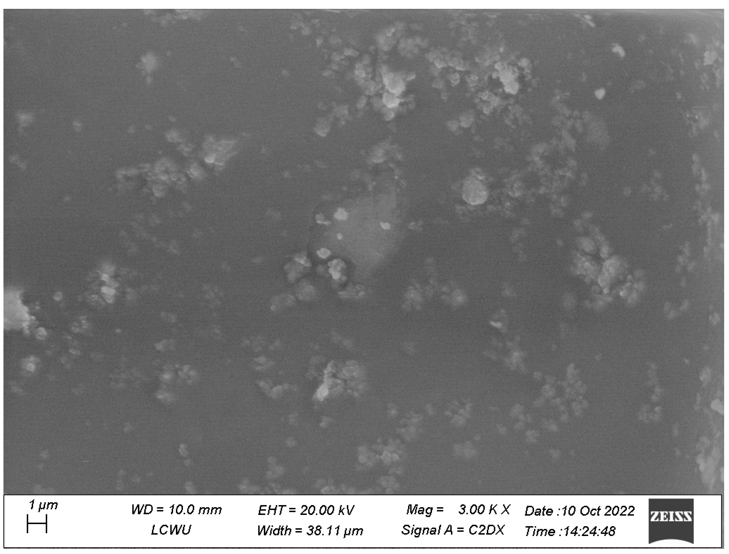 Microorganisms 11 01363 g007