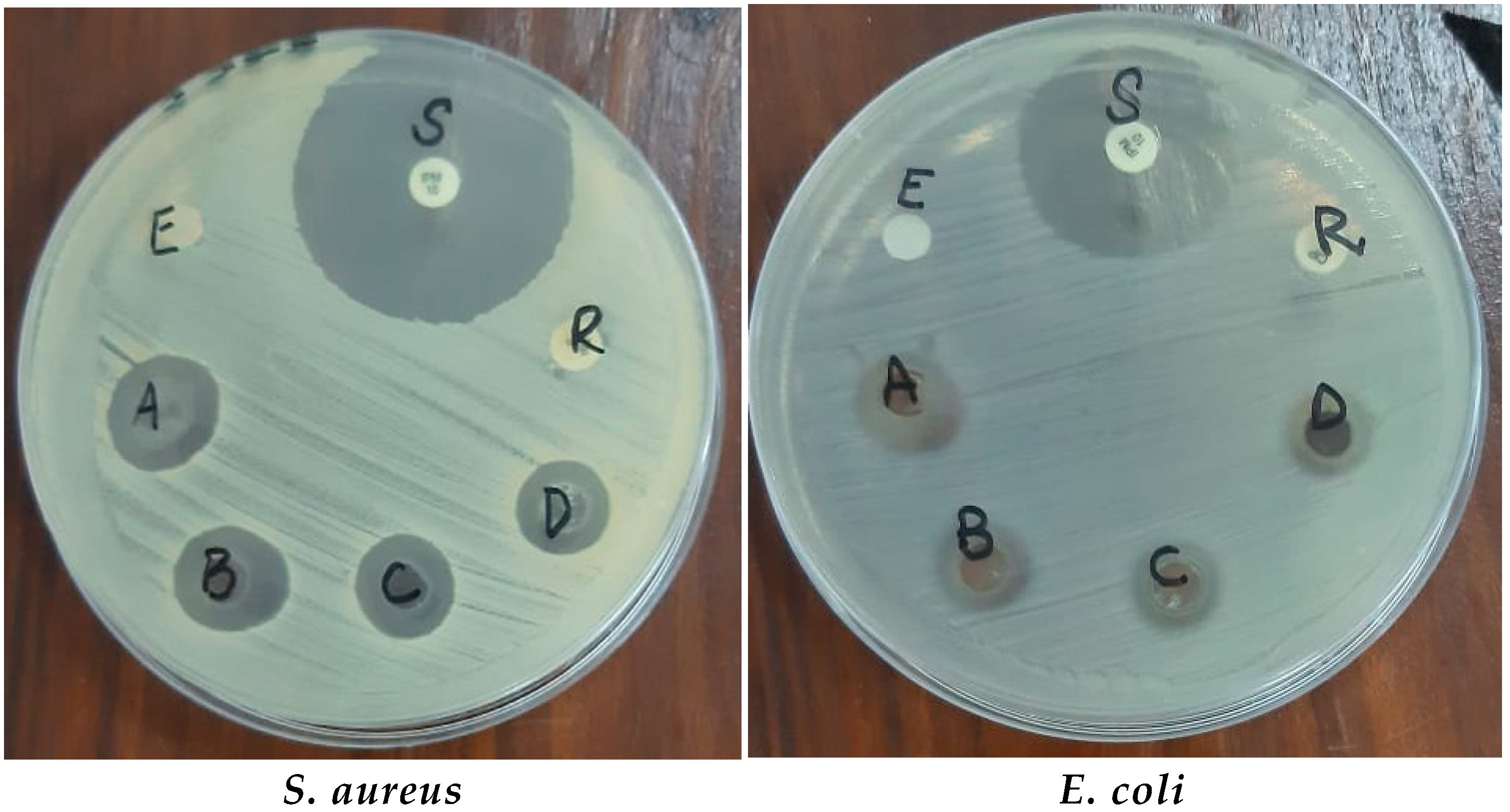 Microorganisms 11 01363 g009