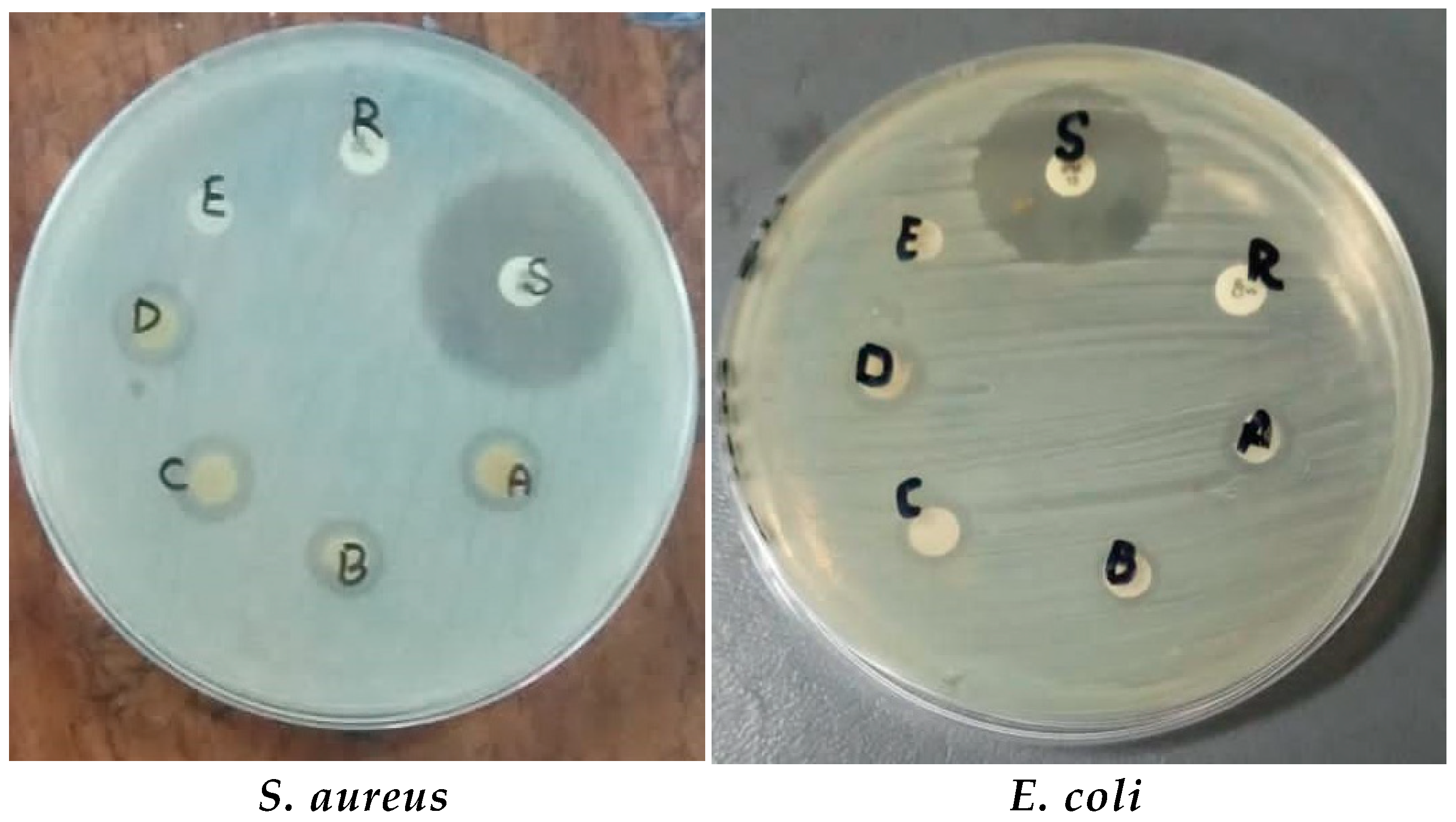 Microorganisms 11 01363 g010
