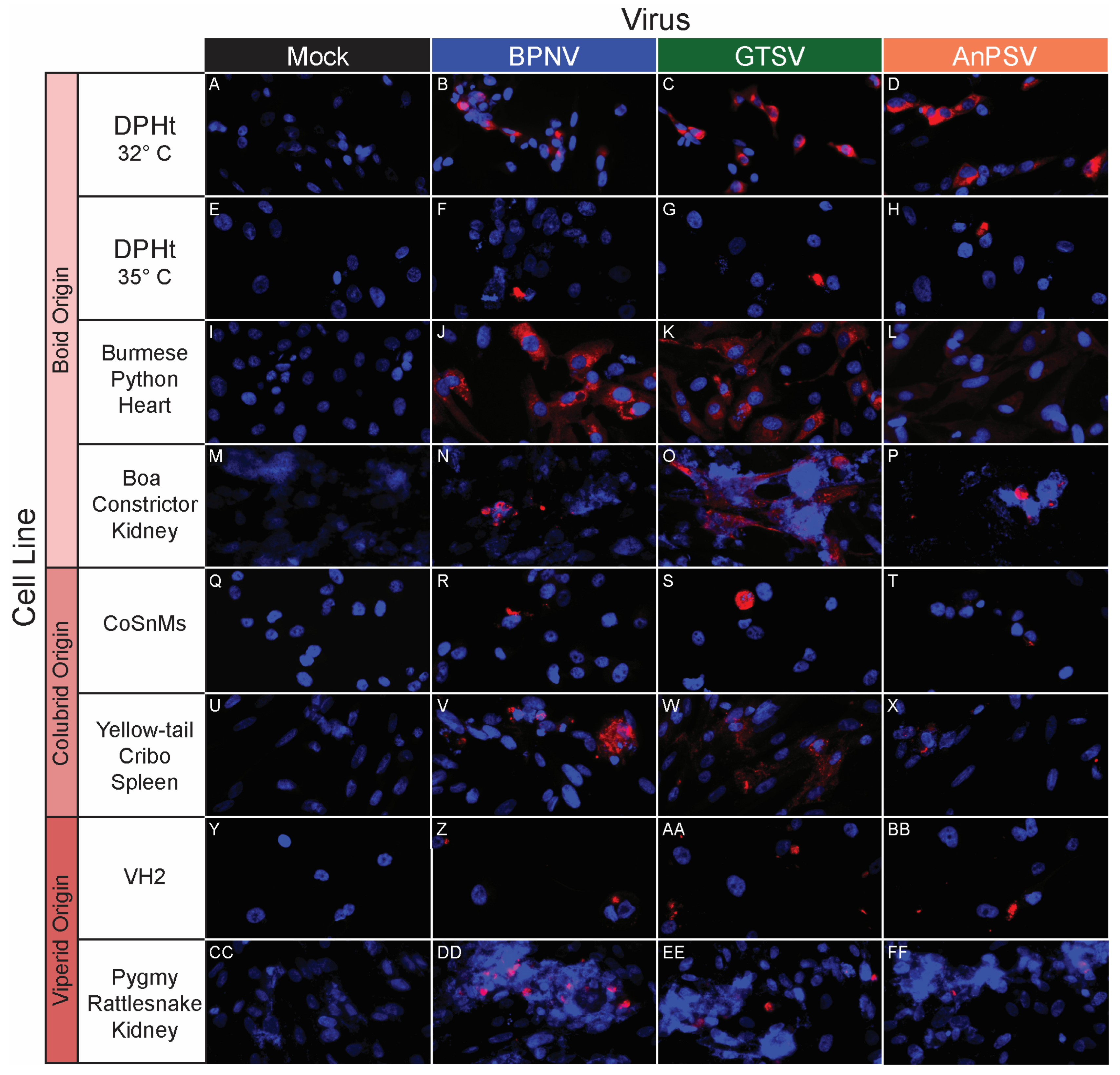 Microorganisms 11 01371 g004 Microorganisms 11 01371 g004