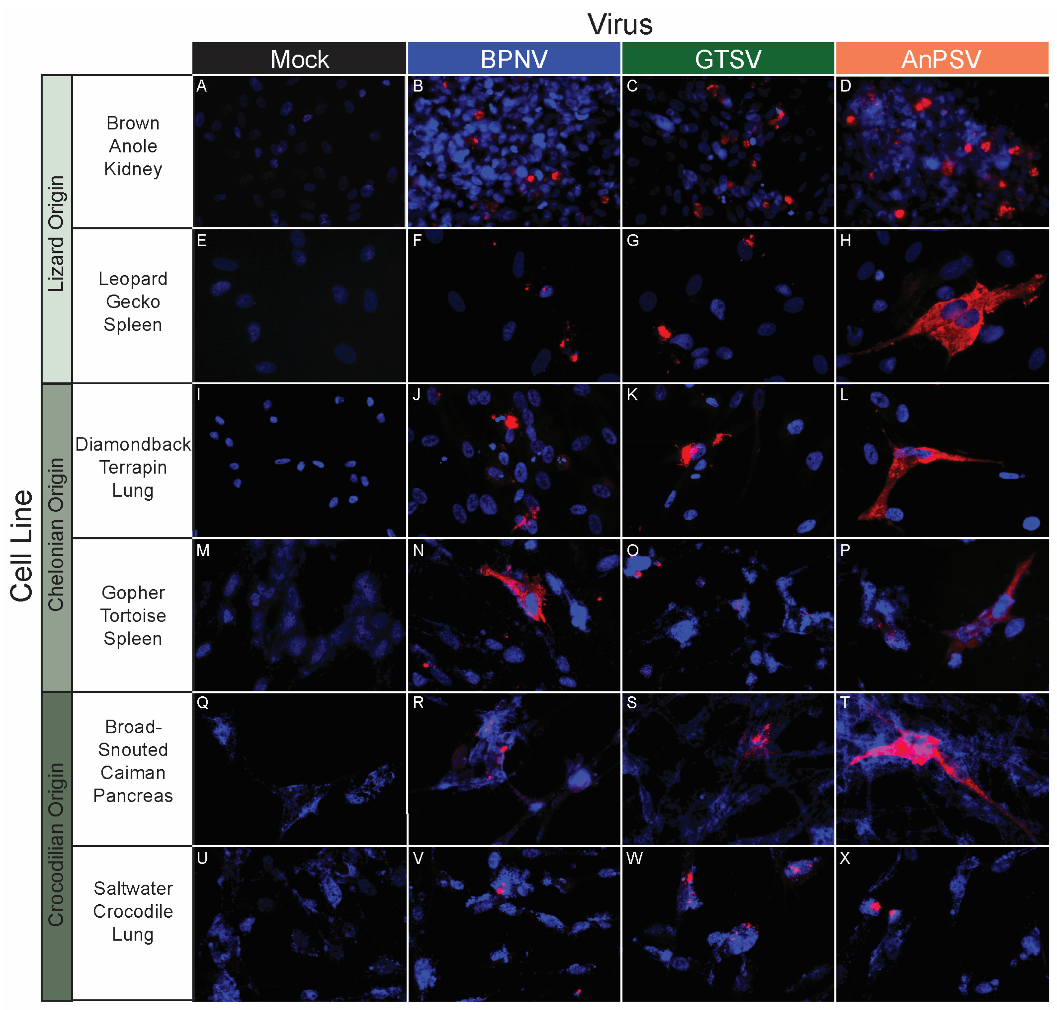 Microorganisms 11 01371 g005 Microorganisms 11 01371 g005