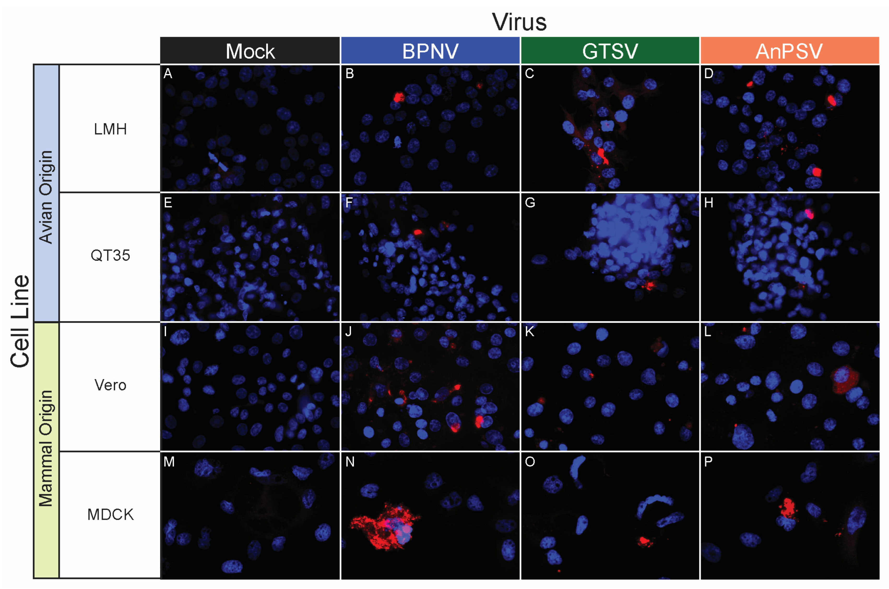 Microorganisms 11 01371 g006 Microorganisms 11 01371 g006