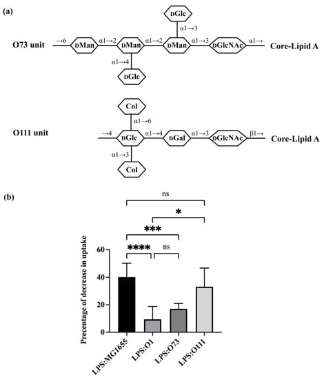 Microorganisms 11 01377 g003