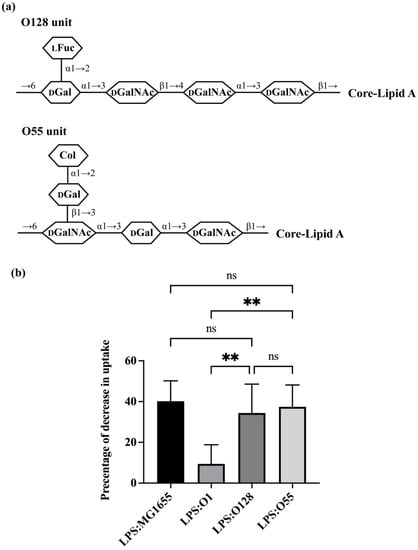 Microorganisms 11 01377 g004