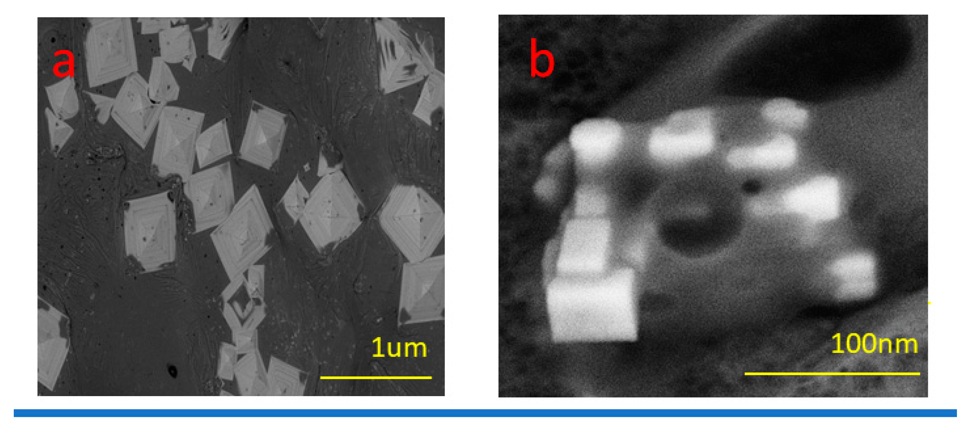 Microorganisms 11 01380 g004a Microorganisms 11 01380 g004a