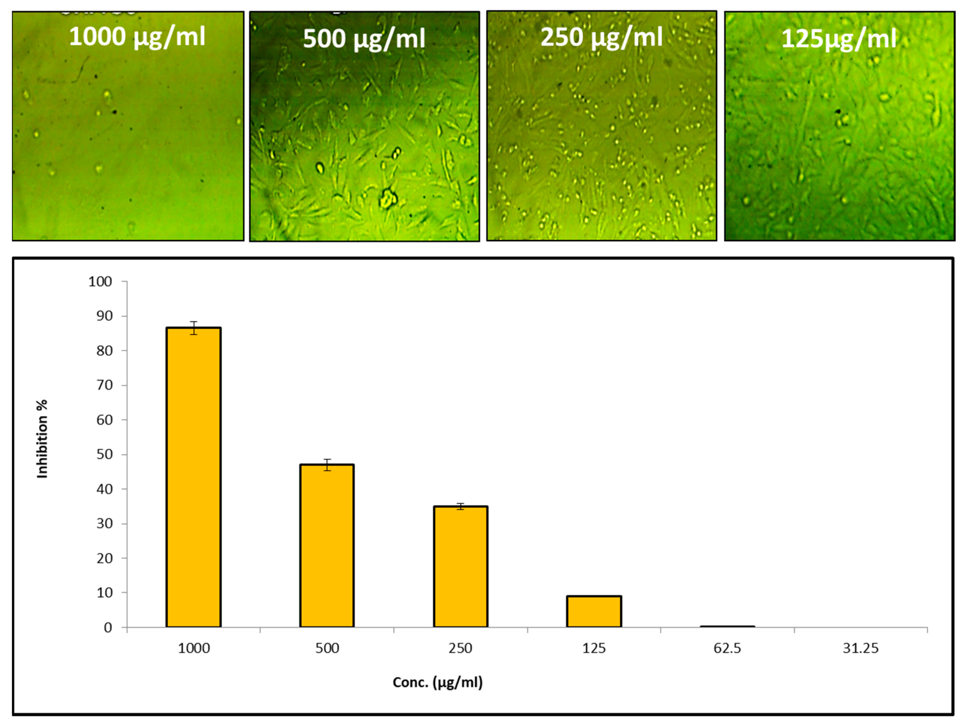 Microorganisms 11 01380 g006 Microorganisms 11 01380 g006