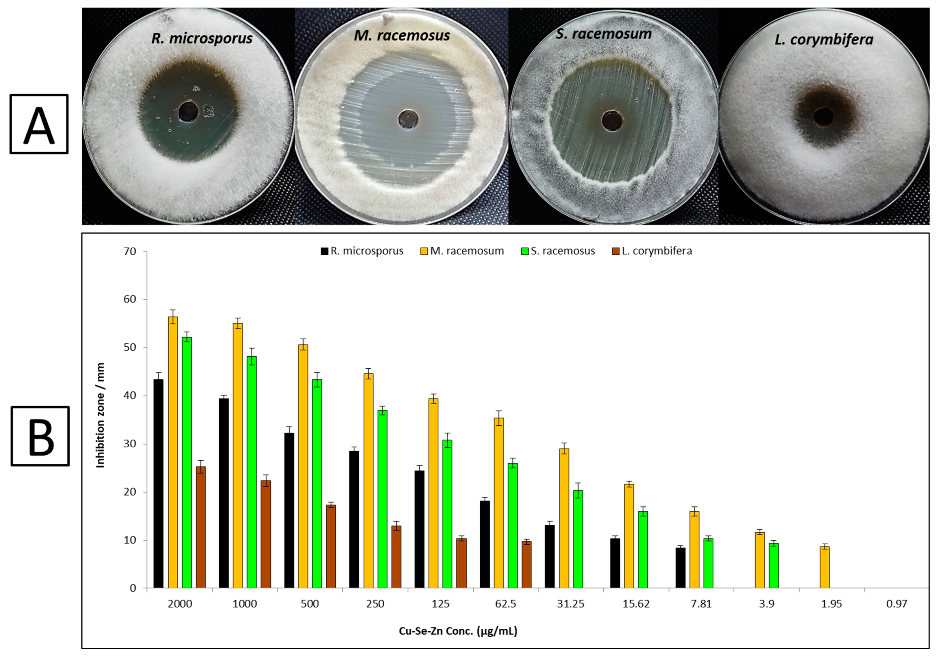 Microorganisms 11 01380 g007 Microorganisms 11 01380 g007
