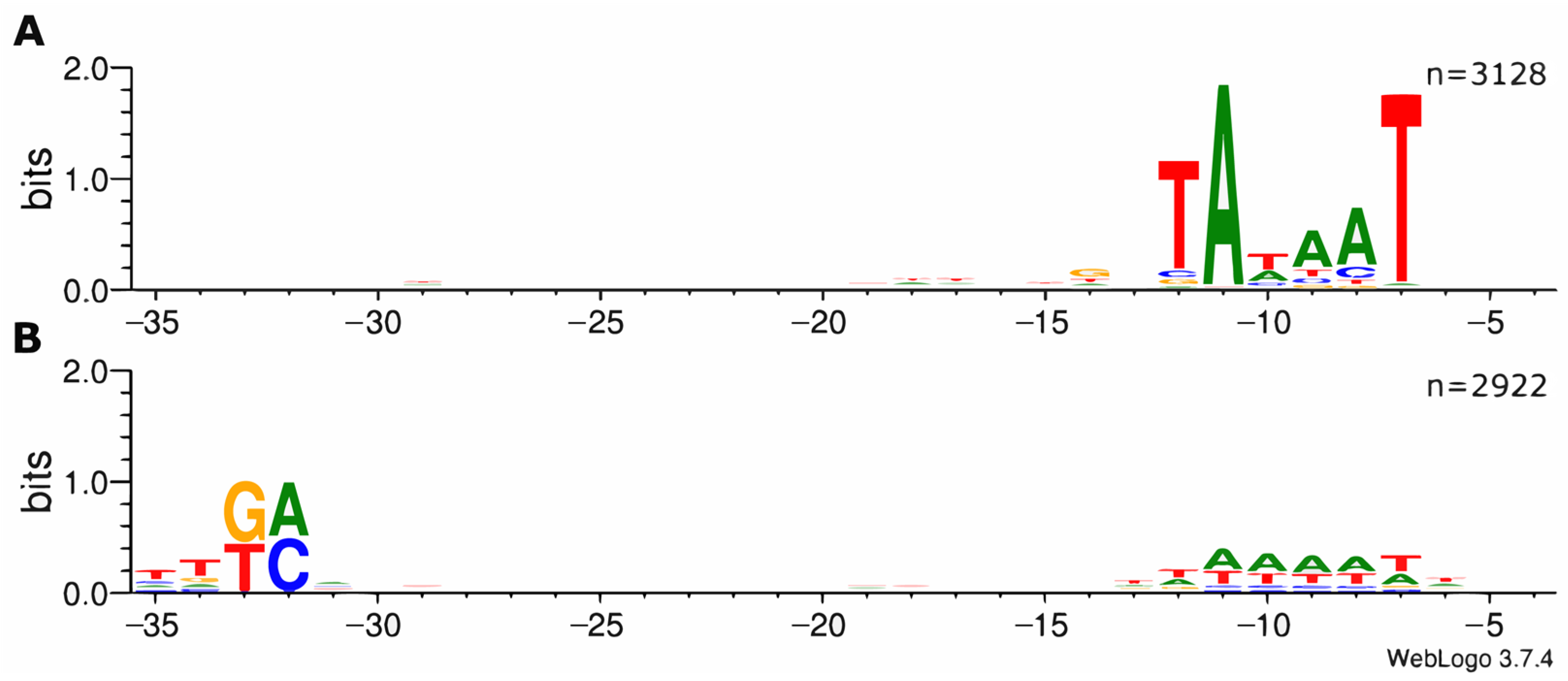 Microorganisms 11 01388 g001