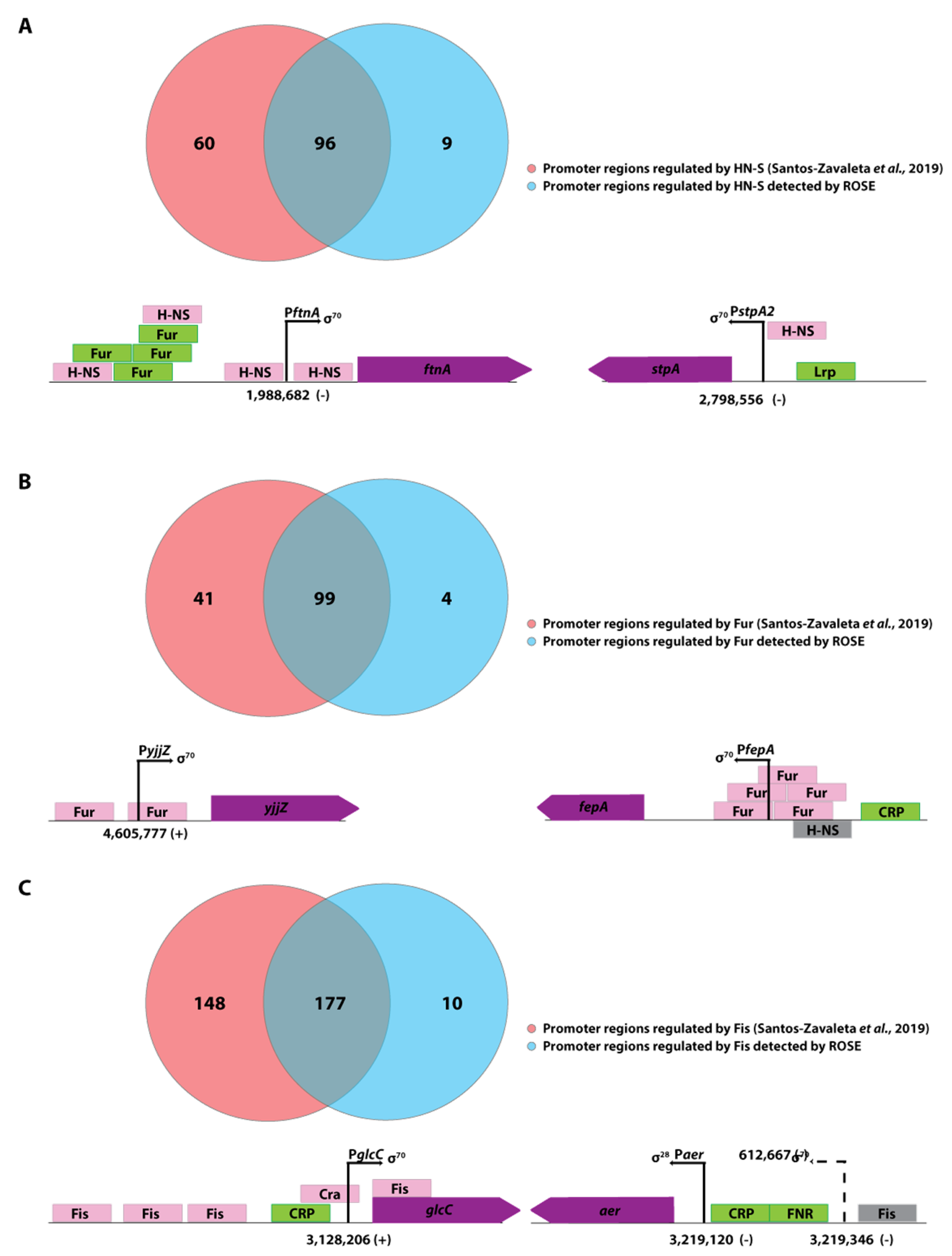 Microorganisms 11 01388 g004