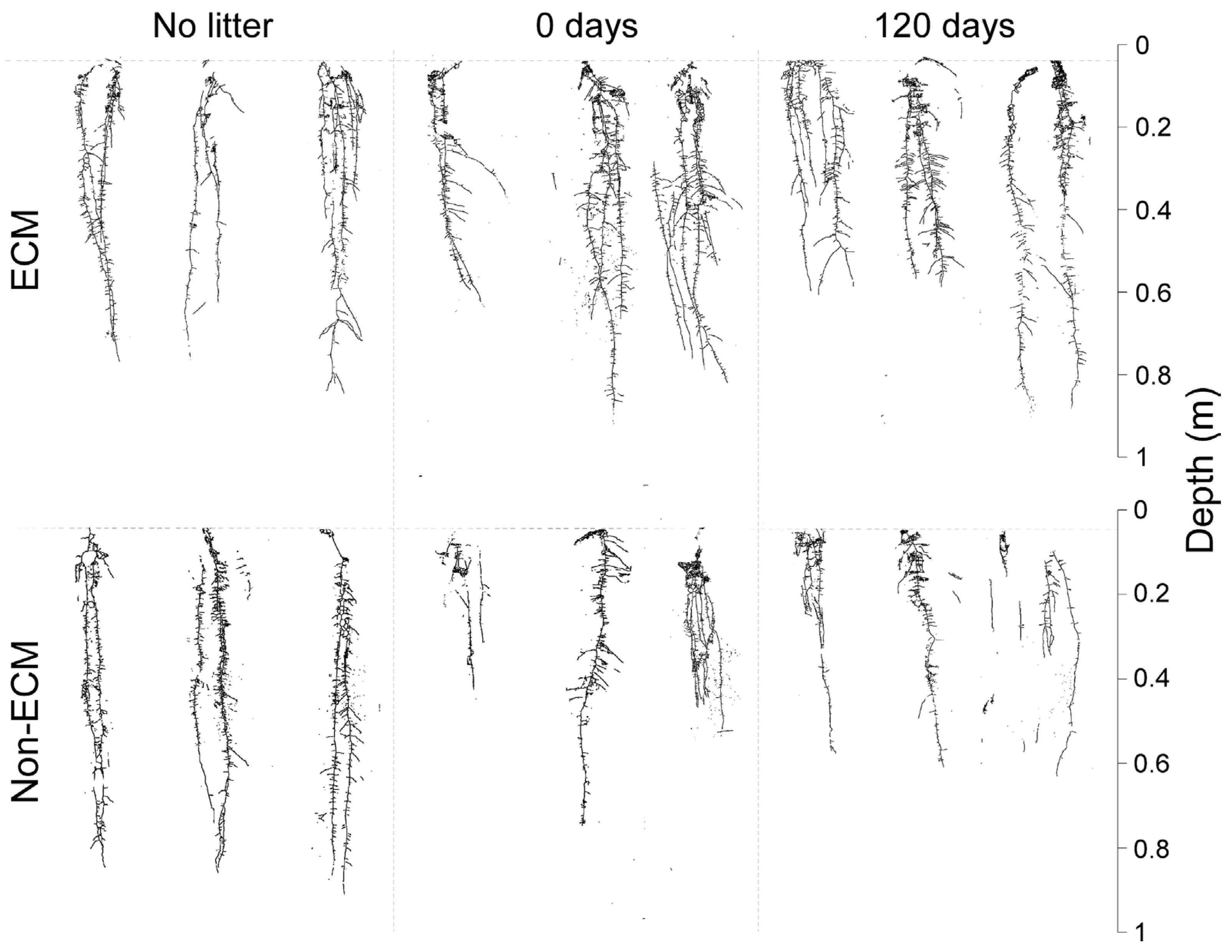 Microorganisms 11 01394 g002