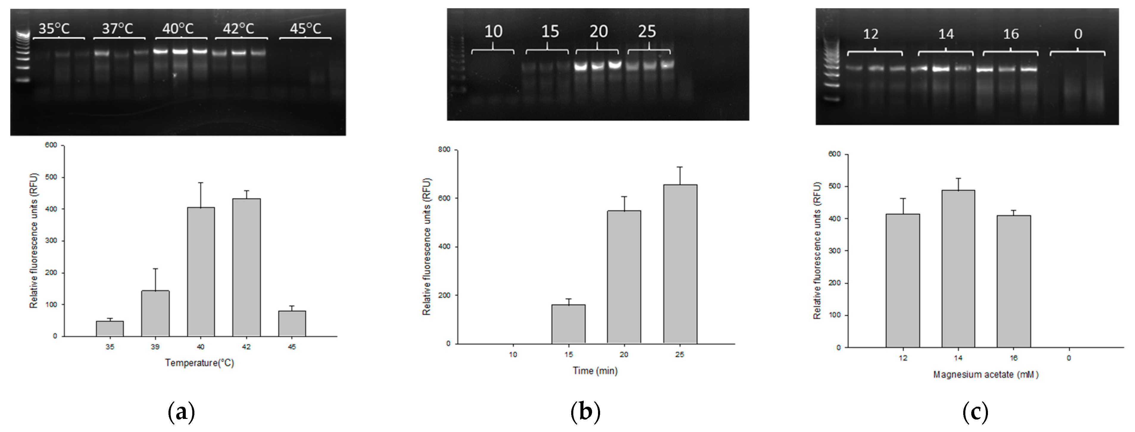 Microorganisms 11 01401 g001