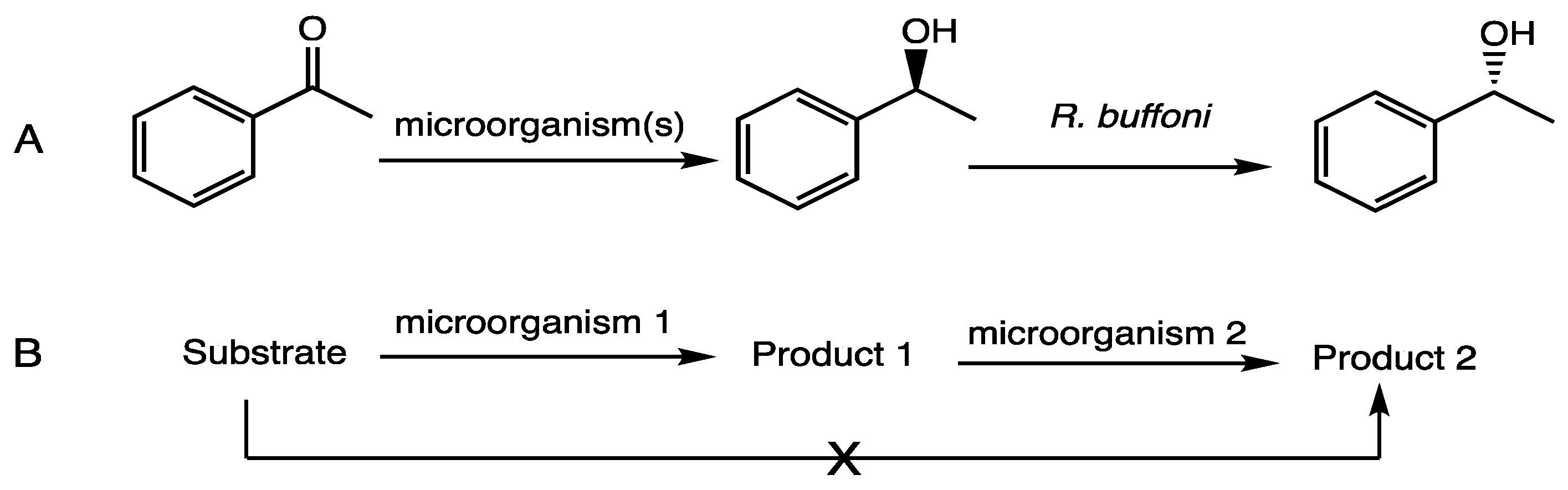 Microorganisms 11 01415 g006