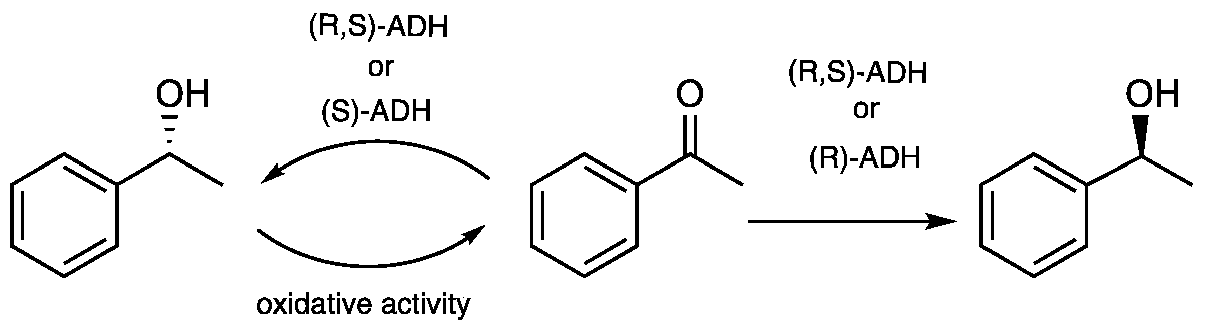 Microorganisms 11 01415 sch003