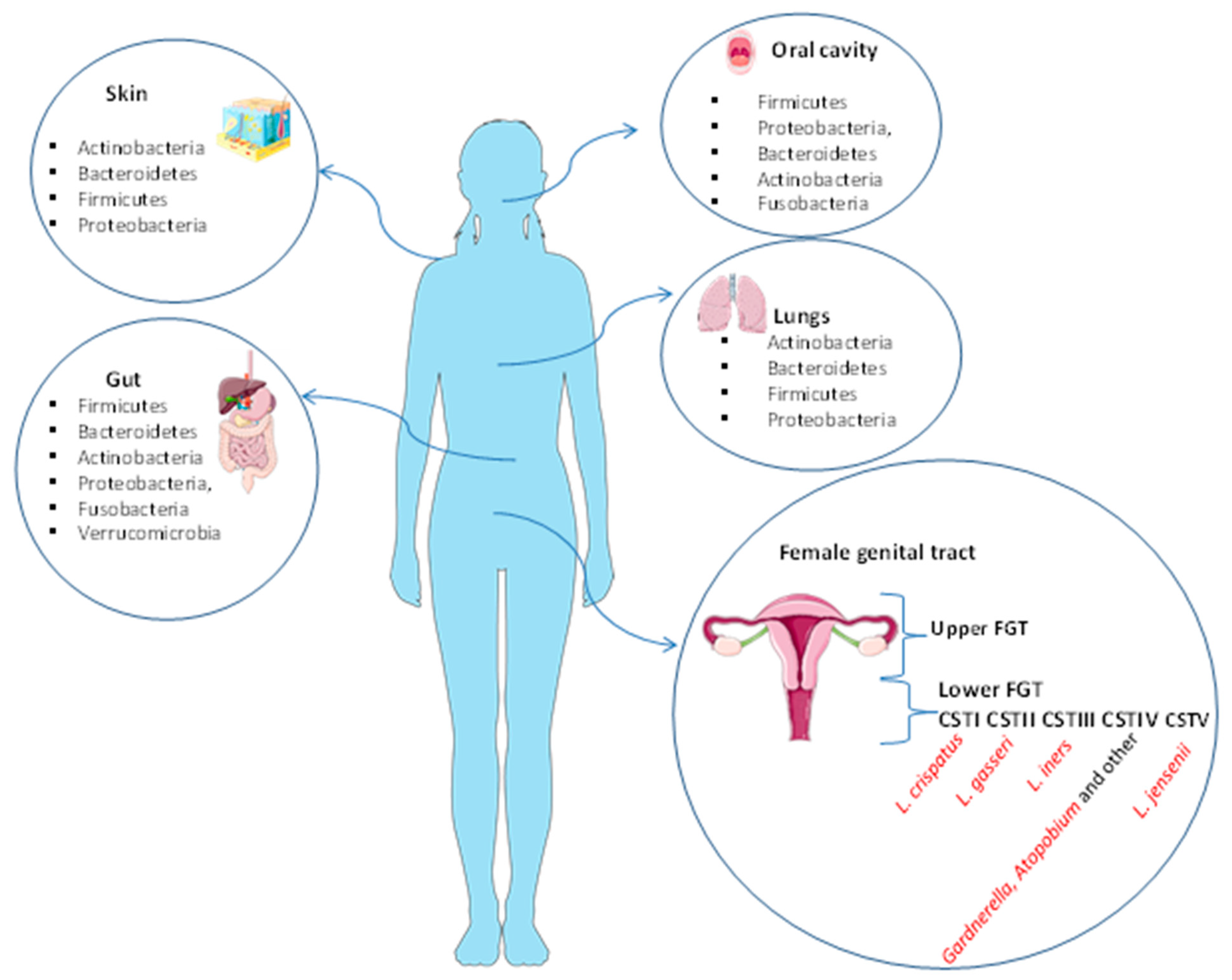 Microorganisms 11 01443 g001