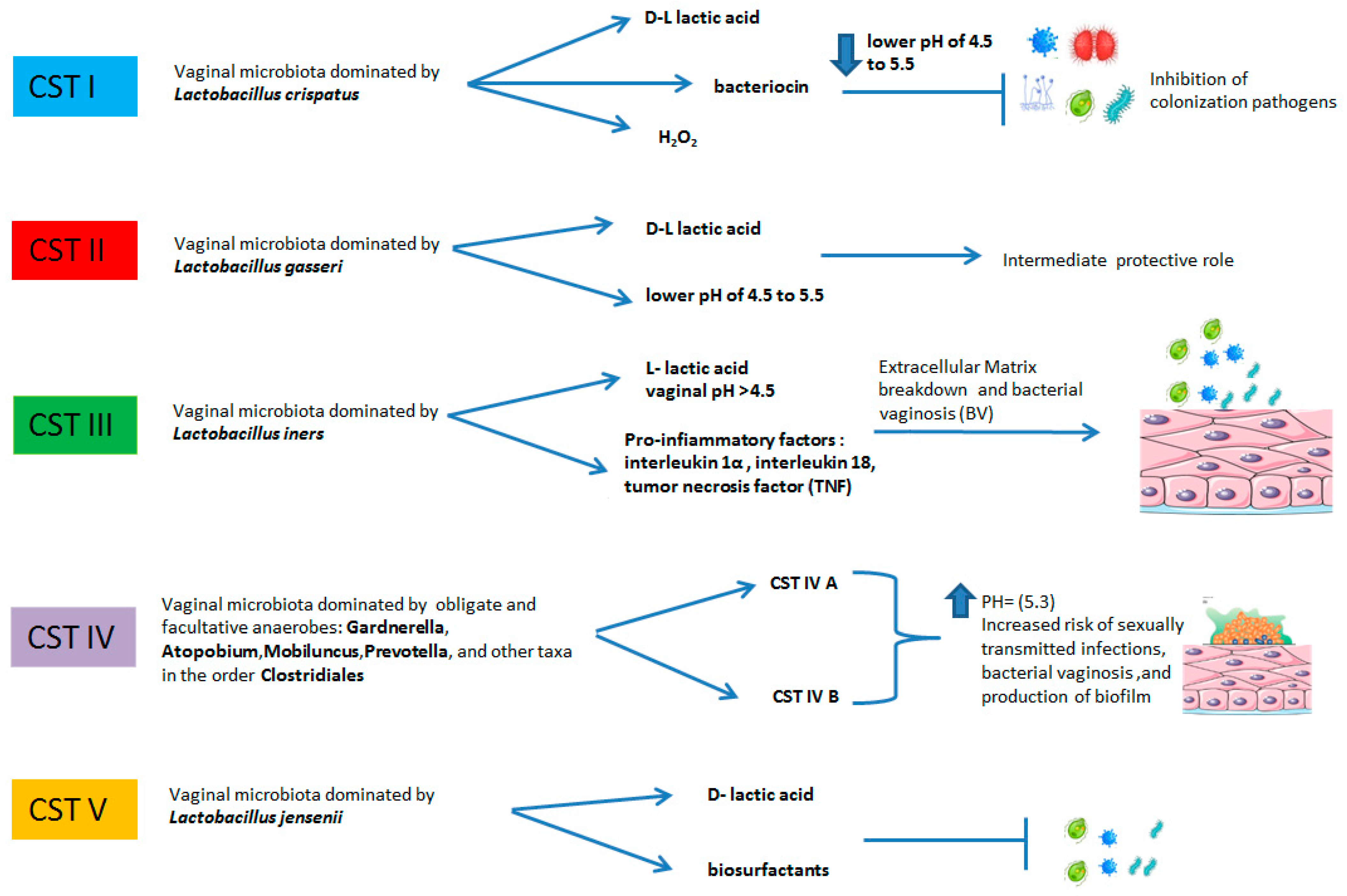 Microorganisms 11 01443 g002