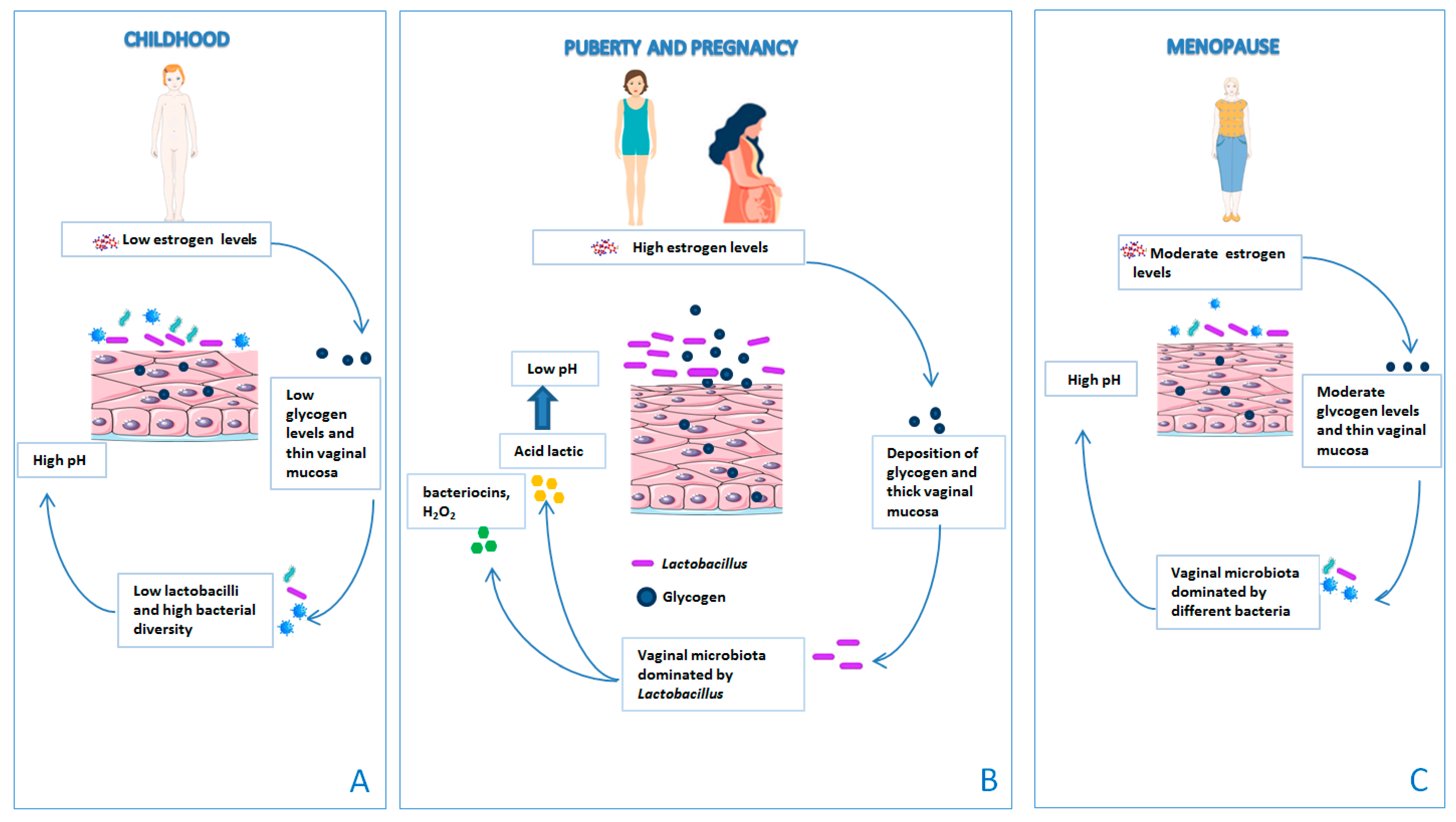 Microorganisms 11 01443 g003