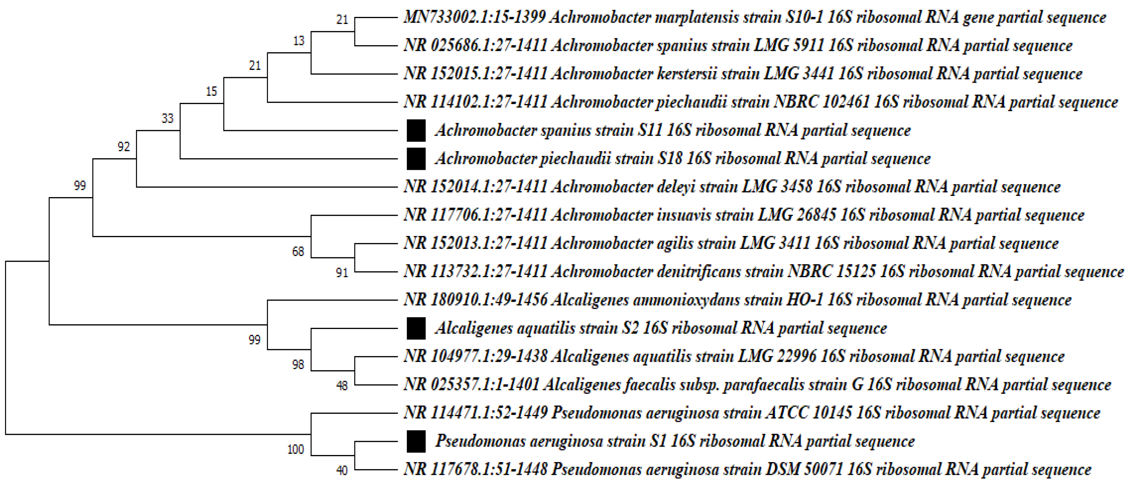Microorganisms 11 01445 g002