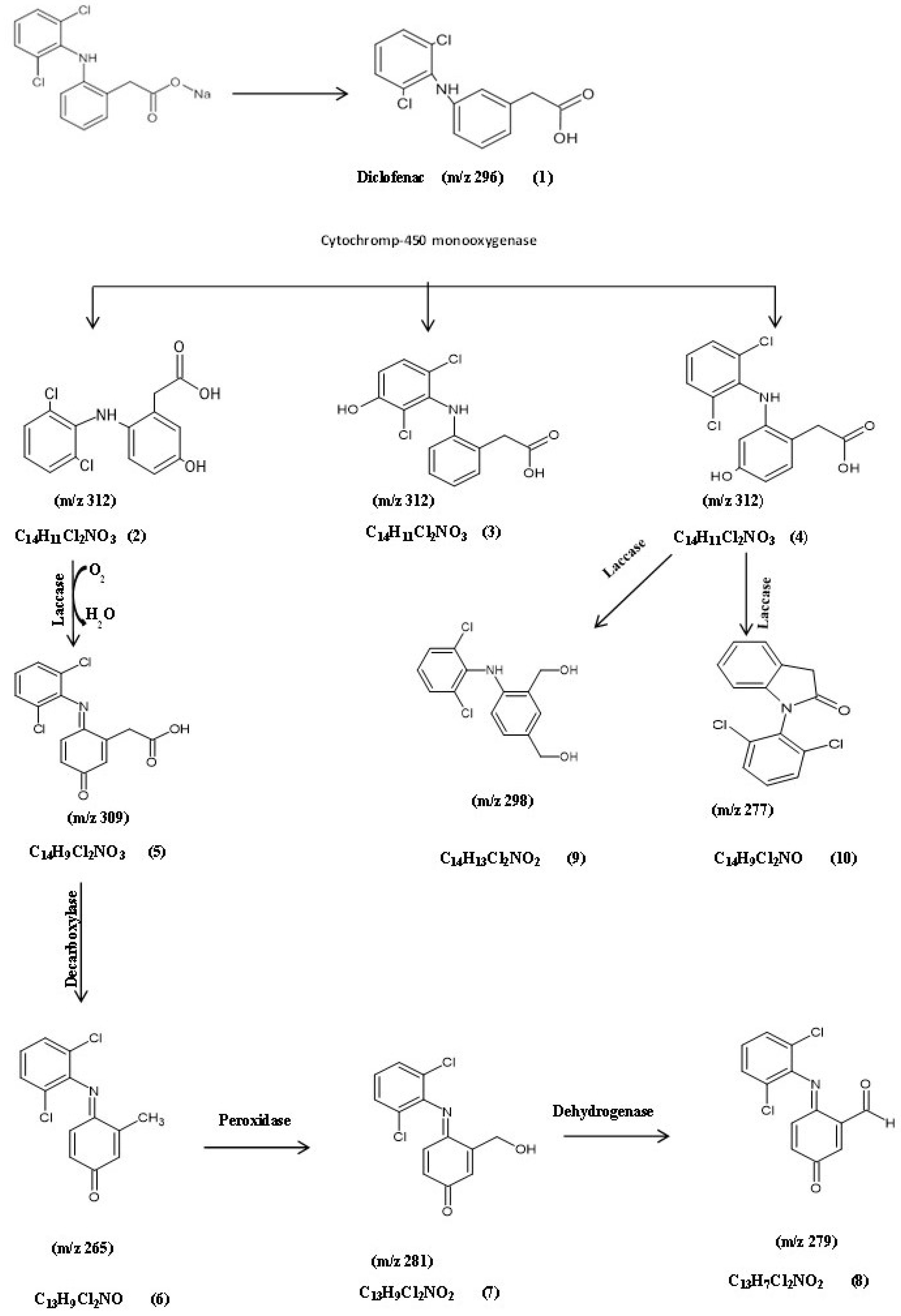 Microorganisms 11 01445 g003