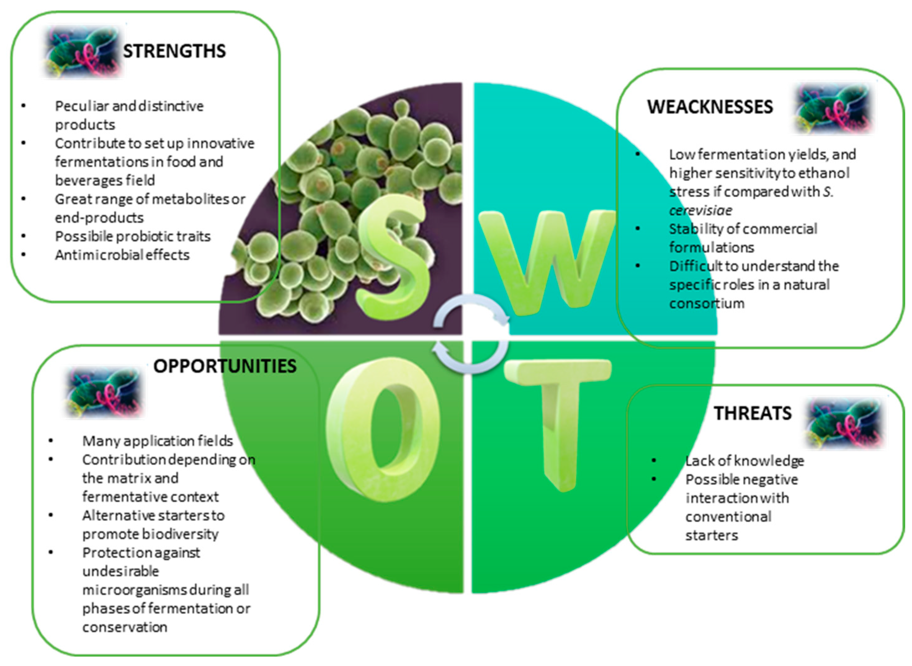 Microorganisms 11 01450 g001