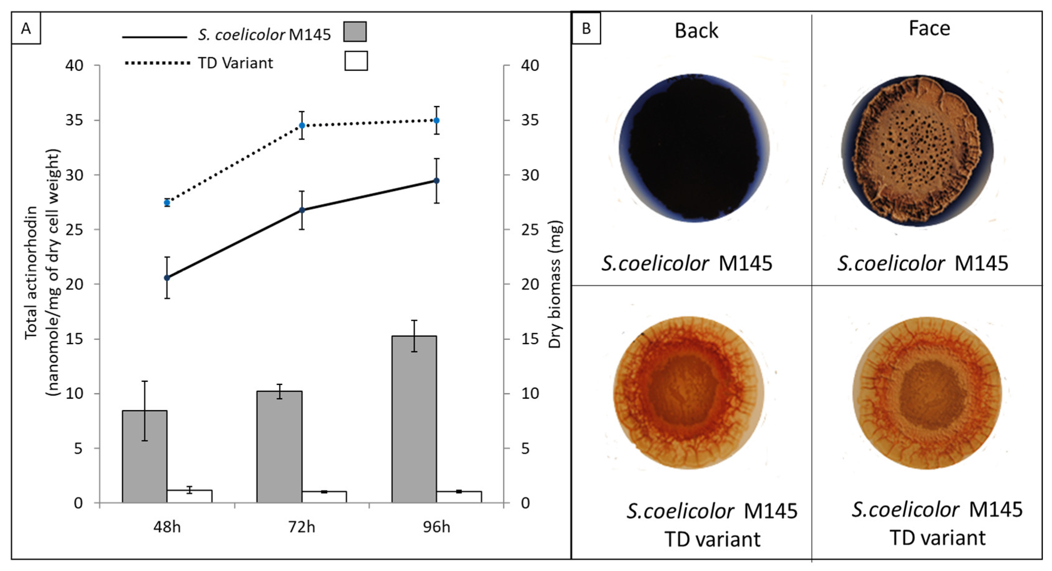 Microorganisms 11 01470 g001