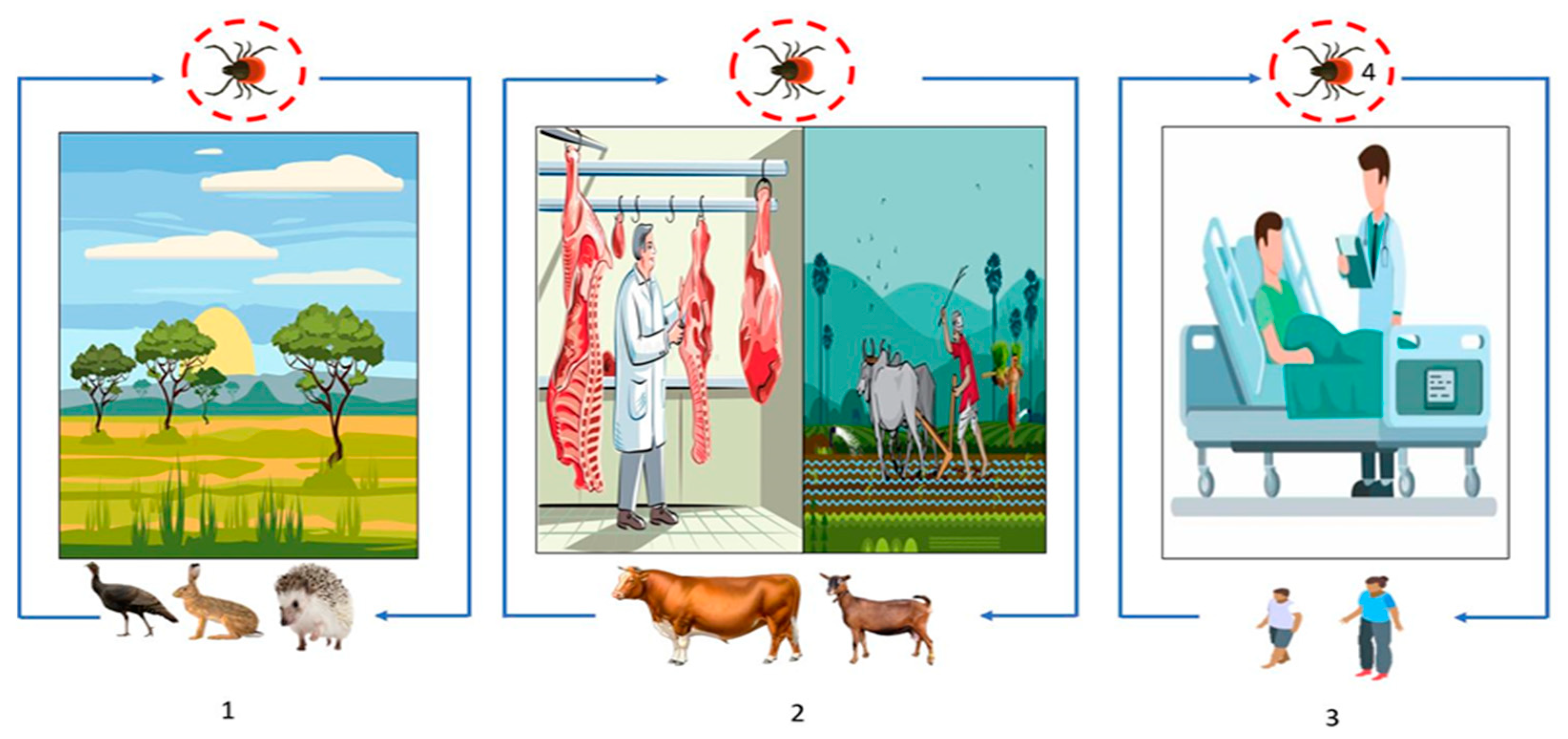 Microorganisms 11 01496 g004 Microorganisms 11 01496 g004