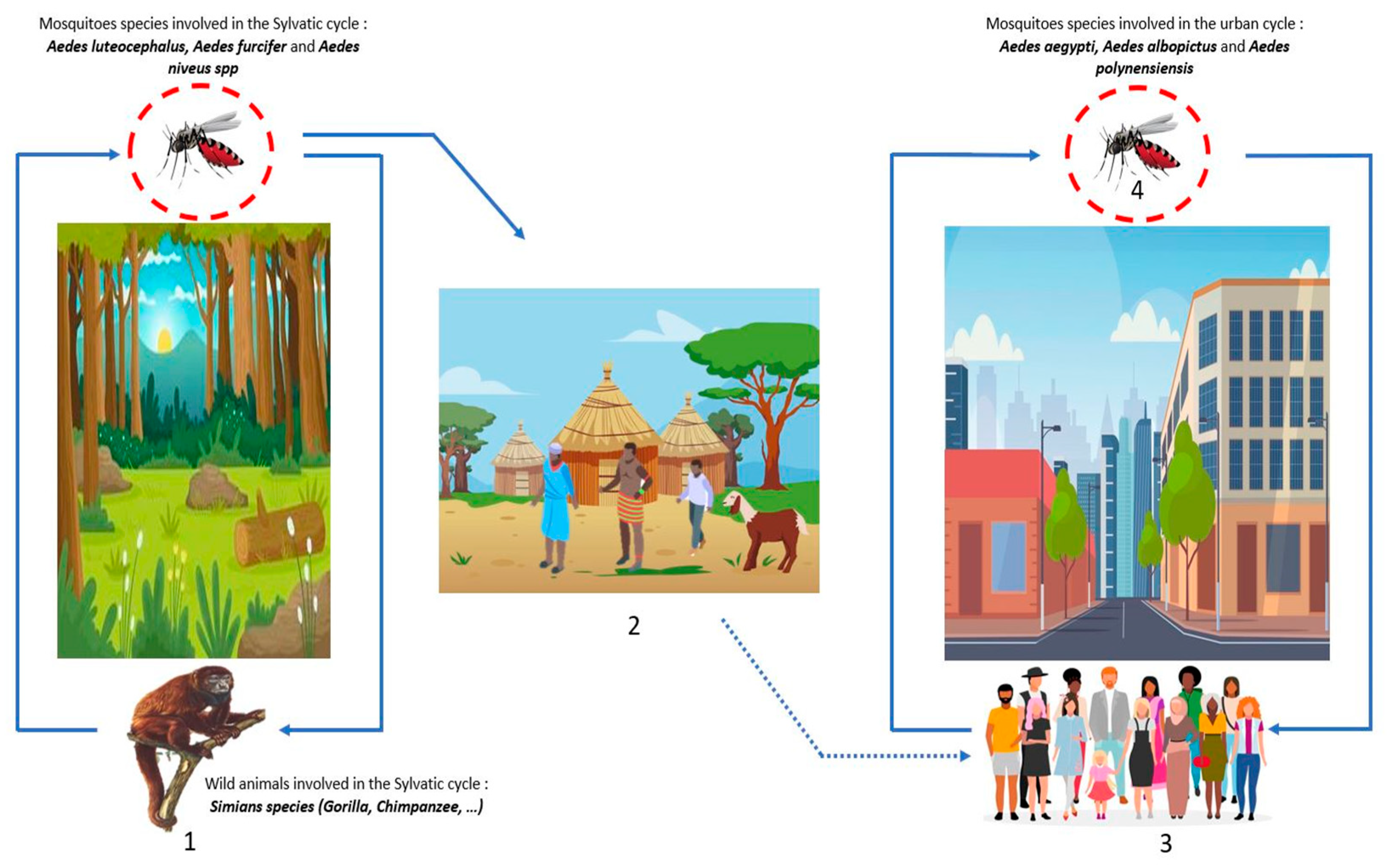 Microorganisms 11 01496 g005 Microorganisms 11 01496 g005