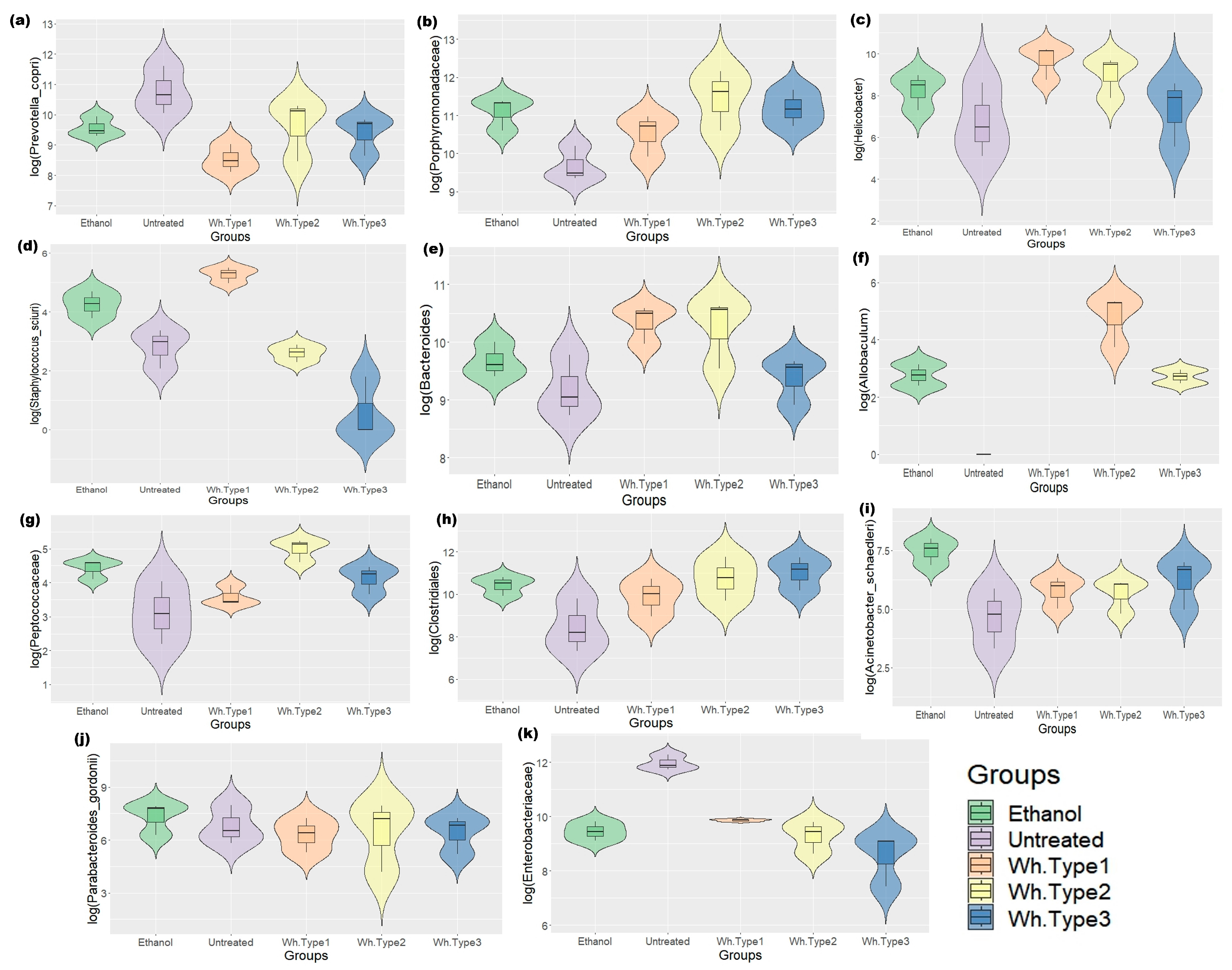Microorganisms 11 01501 g004