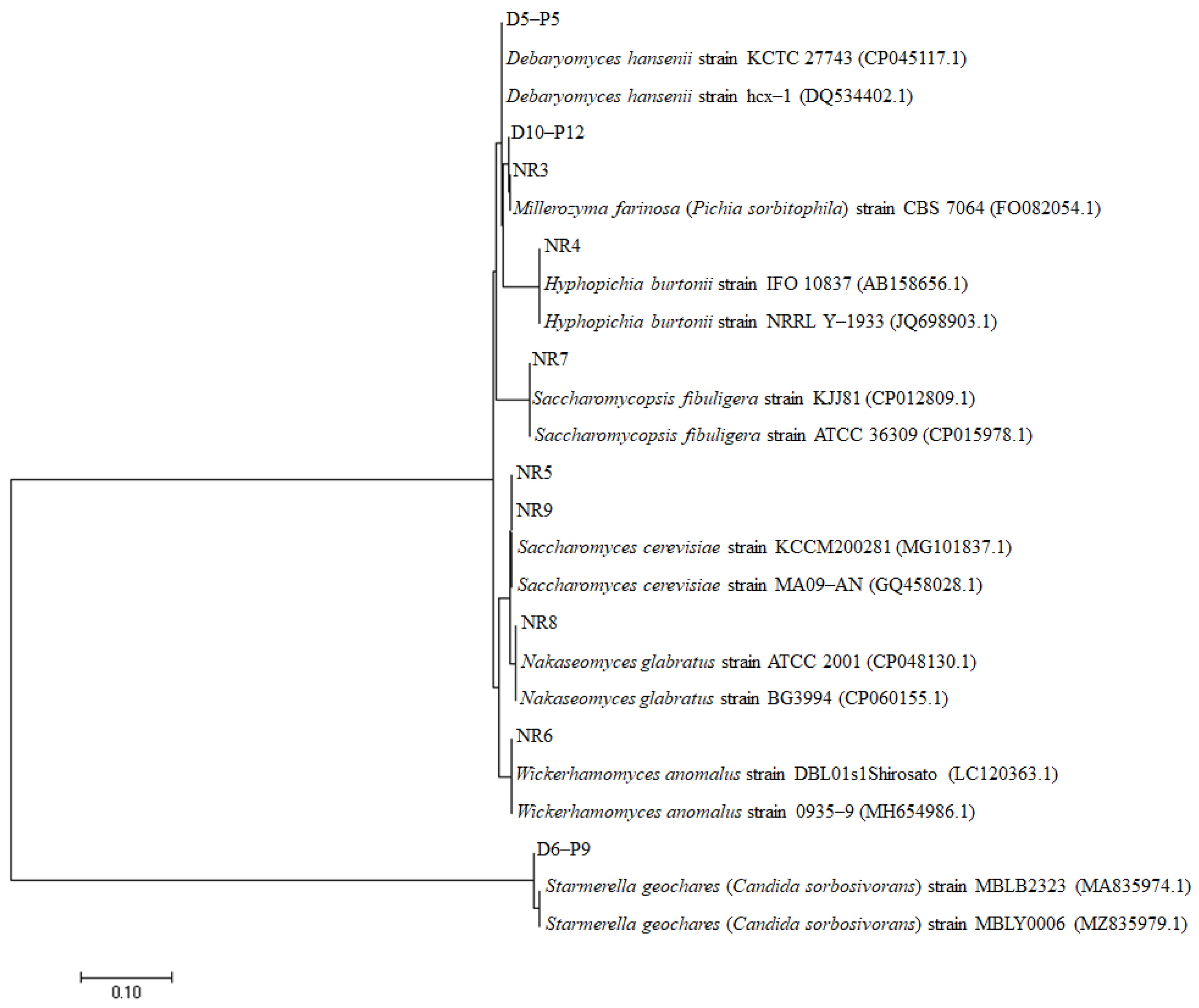 Microorganisms 11 01503 g001 Microorganisms 11 01503 g001