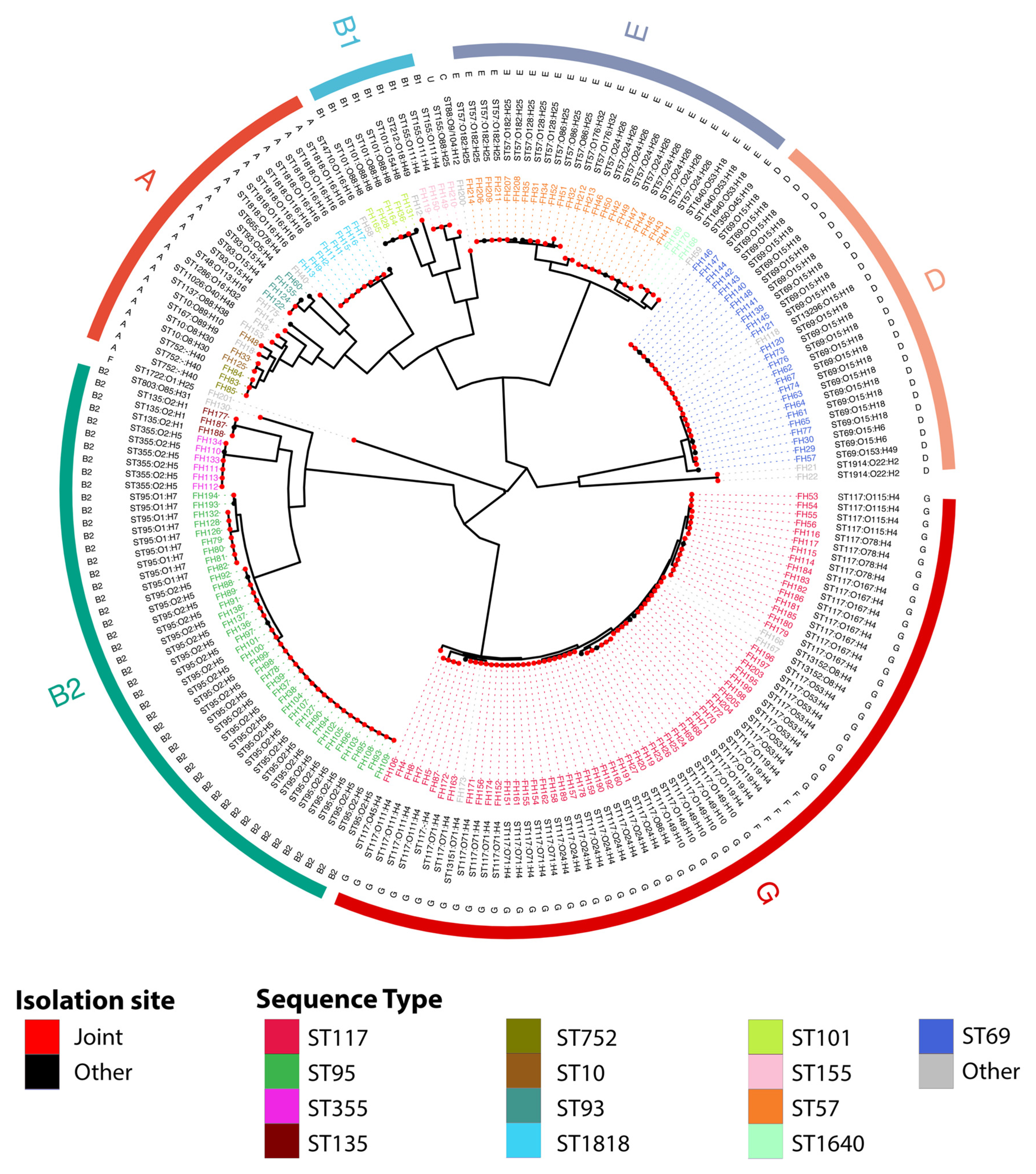Microorganisms 11 01513 g001