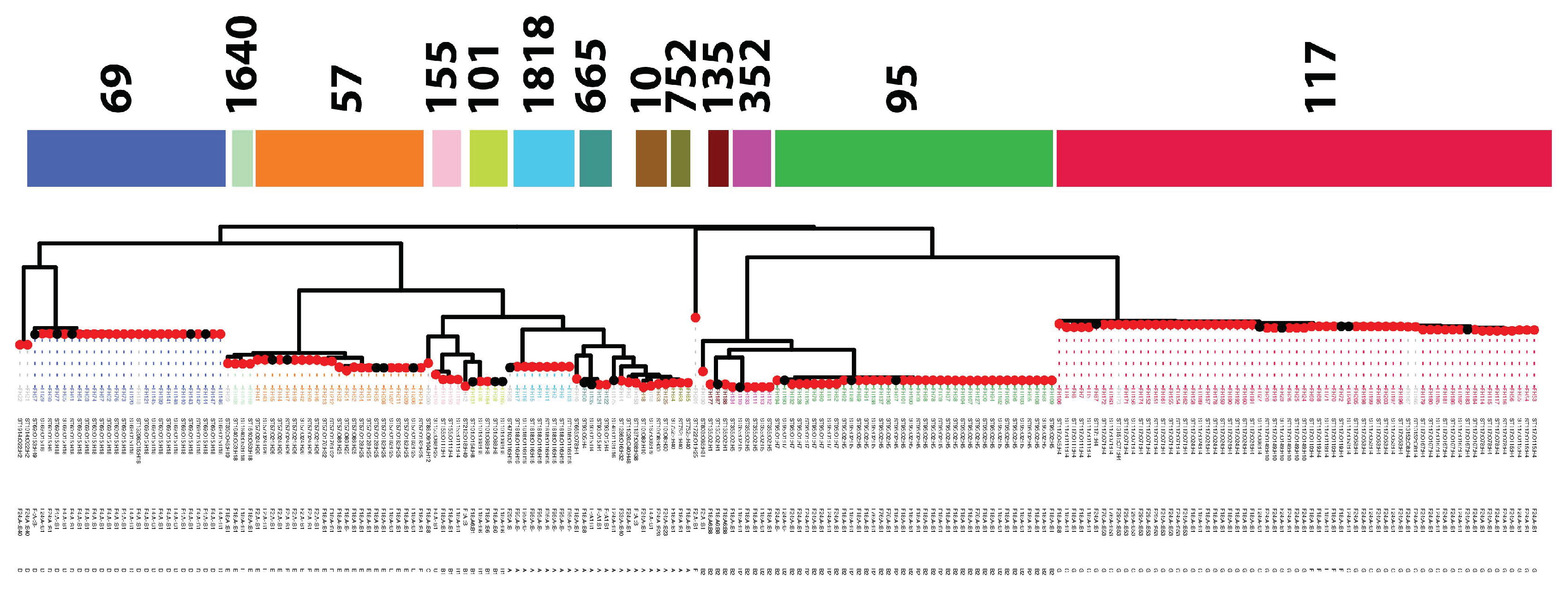 Microorganisms 11 01513 g003a