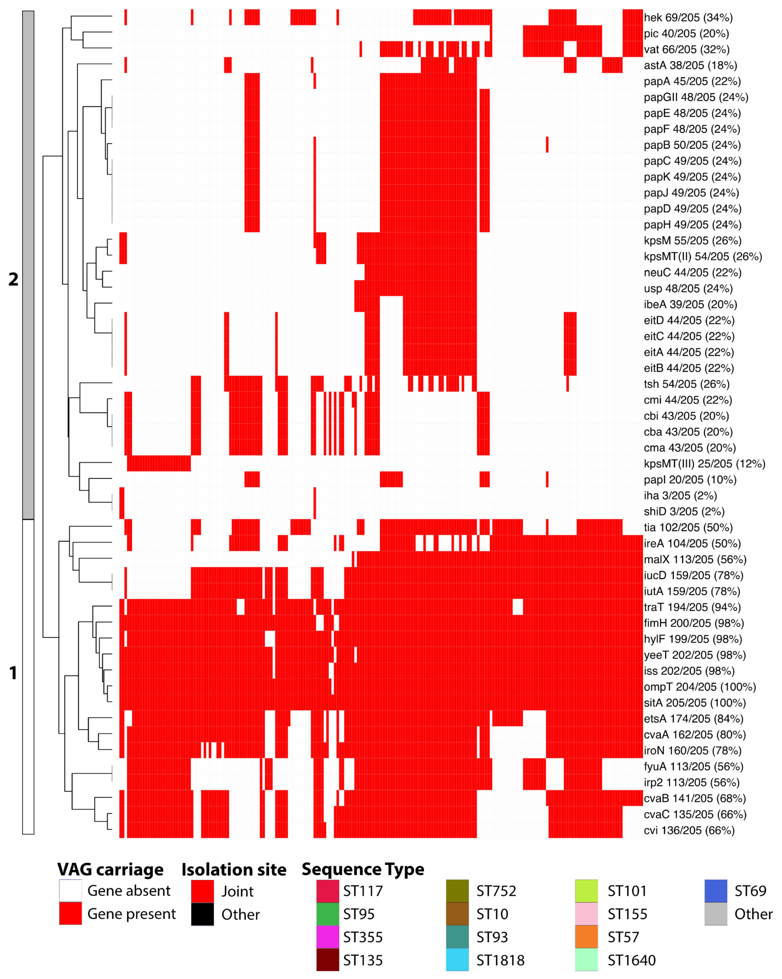 Microorganisms 11 01513 g003b